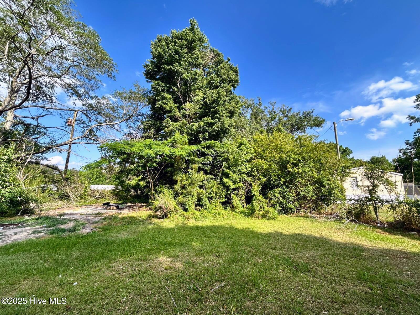 14025 Nc 41 Property Photo 26