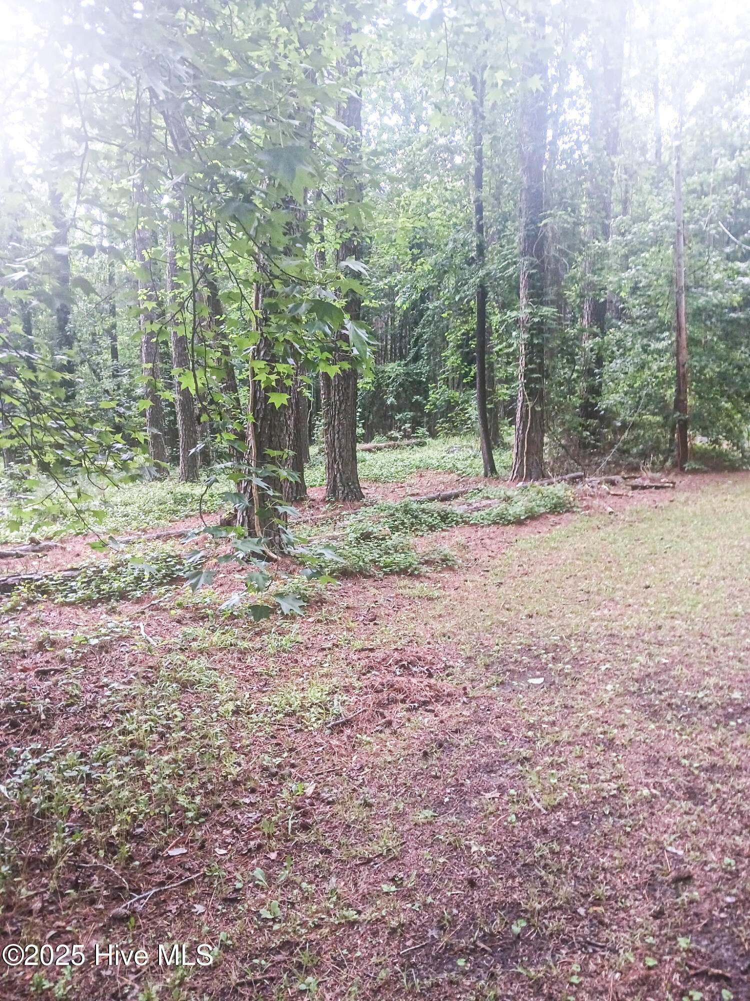 1319 Anne Street Property Photo 1