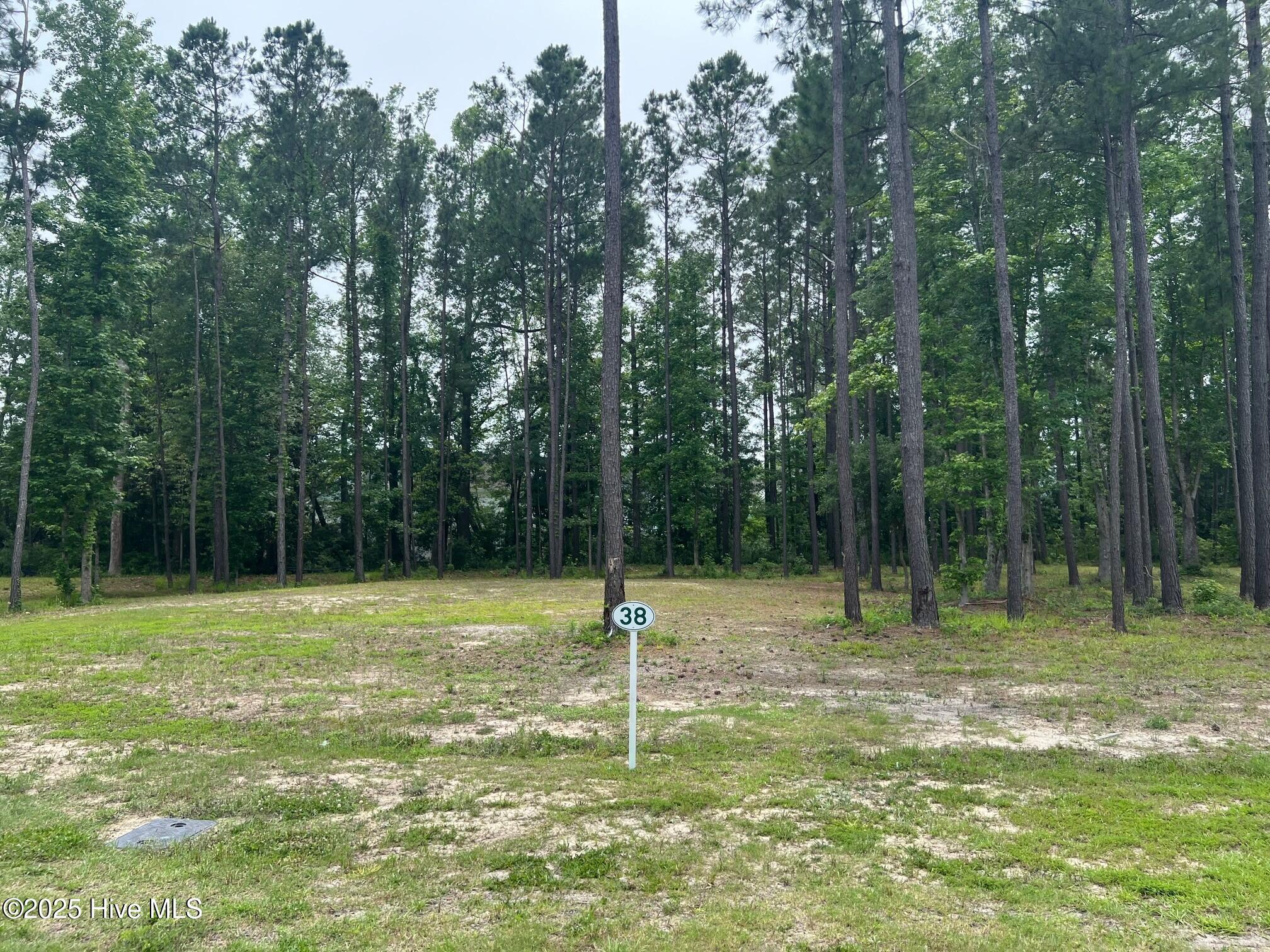 832 Helmsdale Drive Property Photo 1