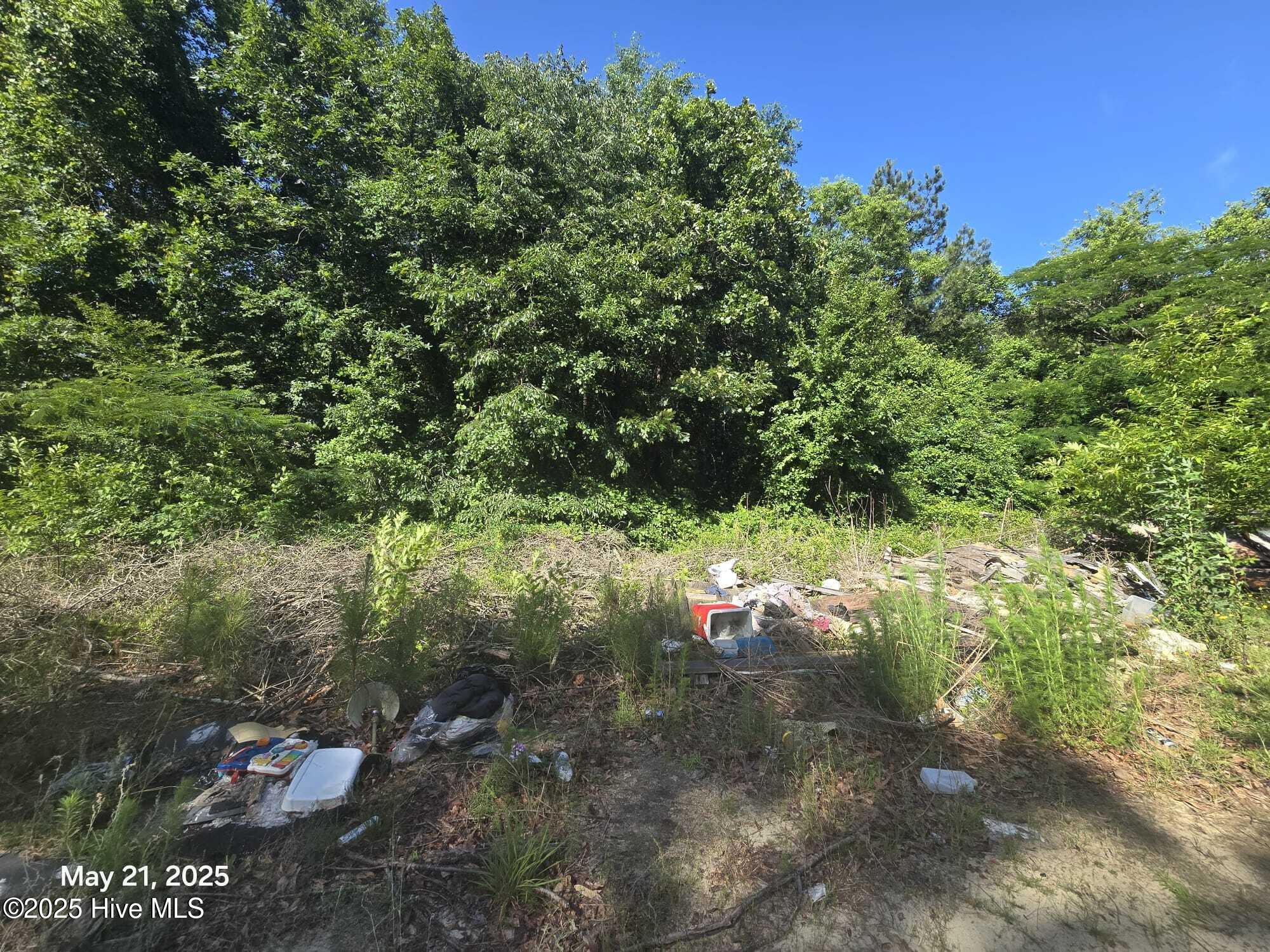 Lot 26 Lakebay Road Property Photo 2