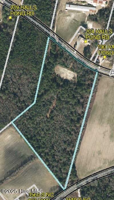 0 Halls Pond Road Property Photo 1