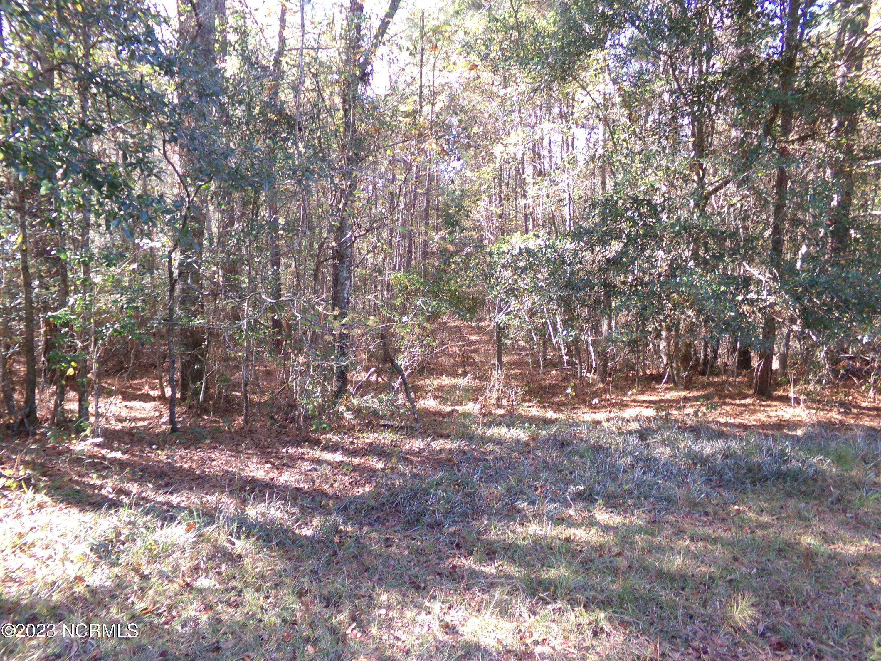 . Near 242 Murphy Lane Property Photo 1