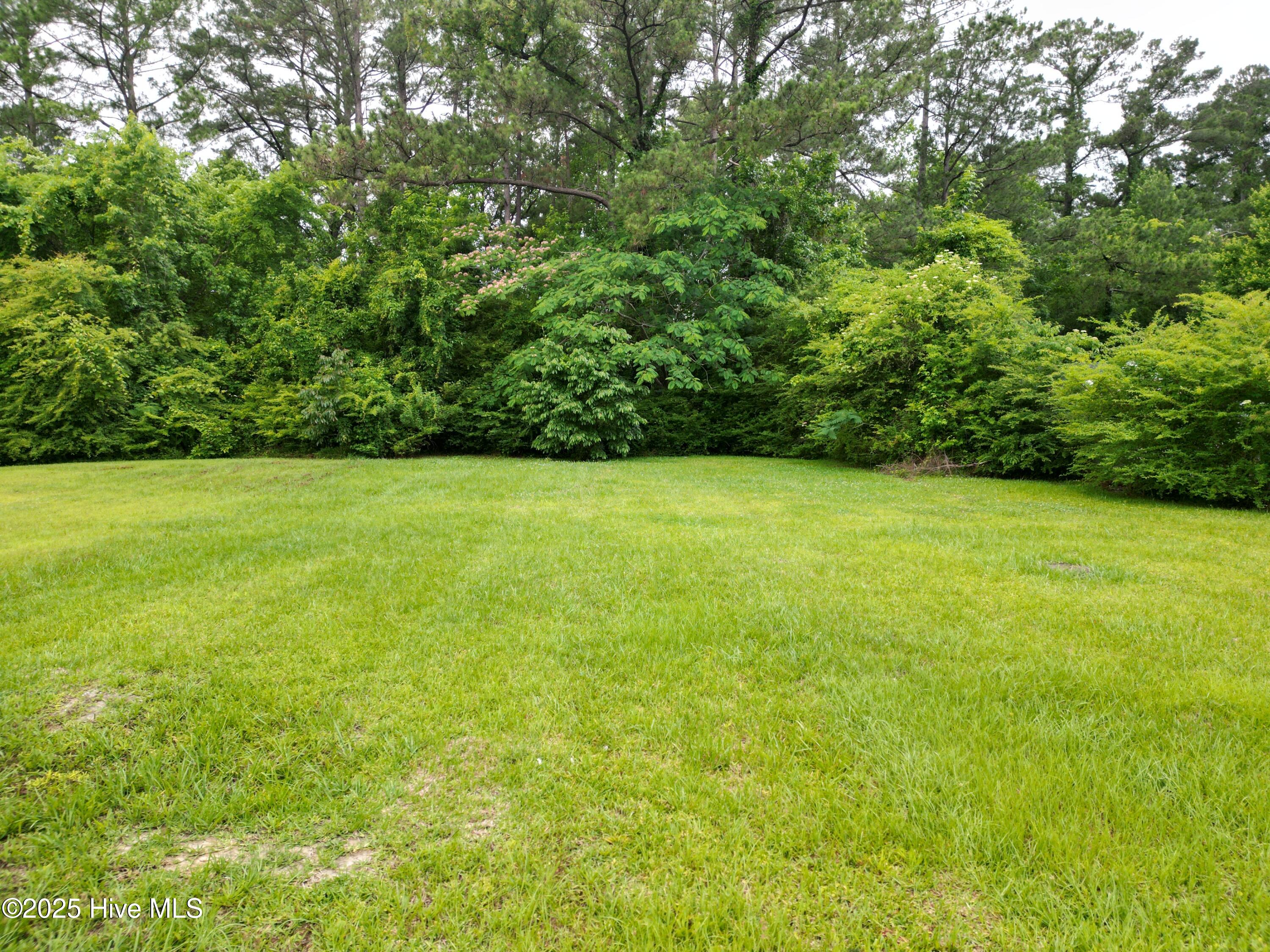 402 Bell Fork Road Property Photo 5