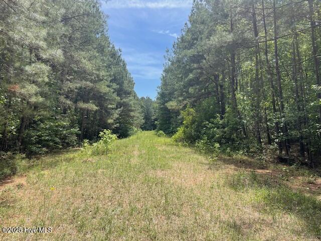 62 Live Oak Drive Property Photo 1
