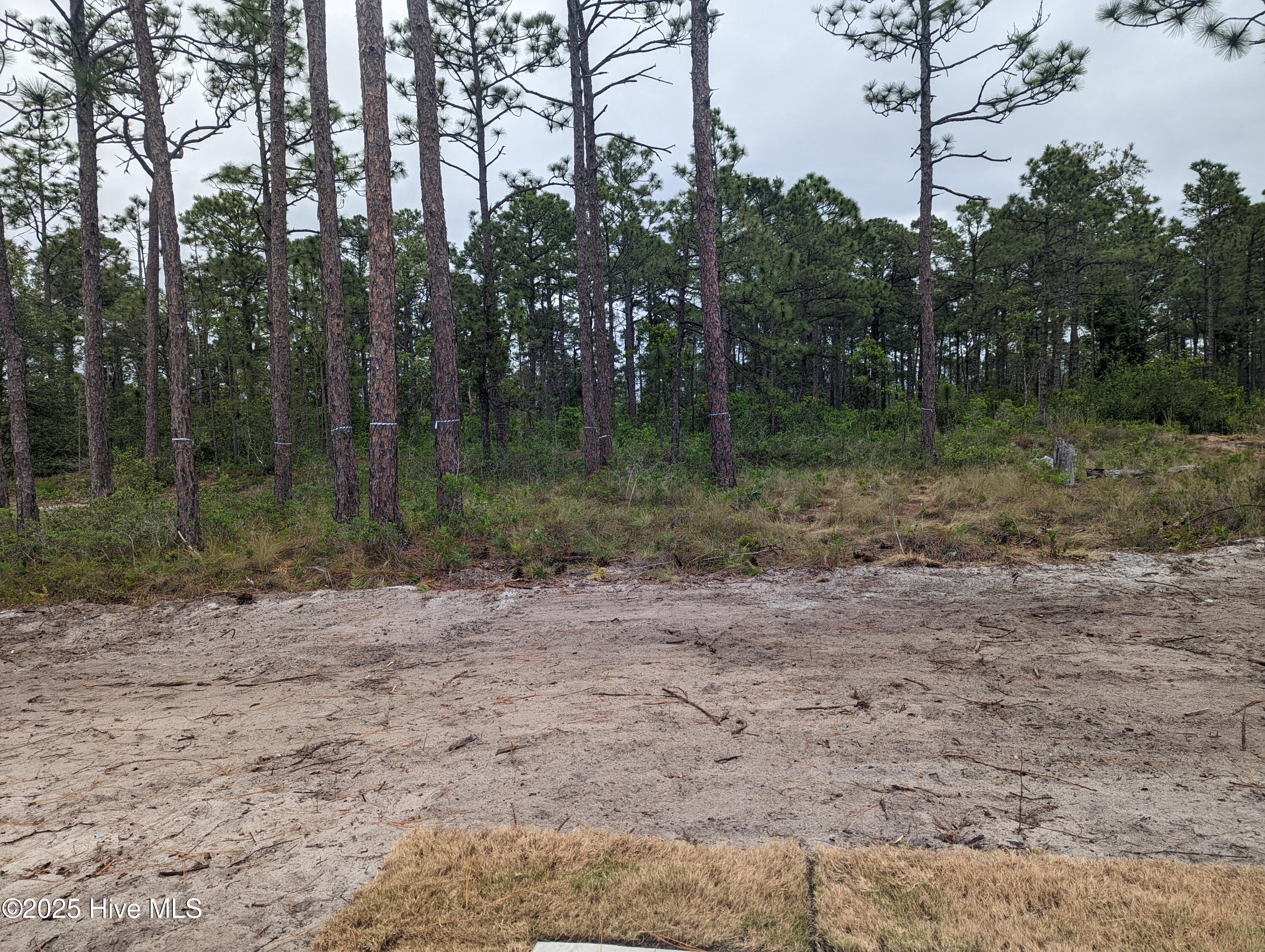 941 Downing Road Property Photo 9