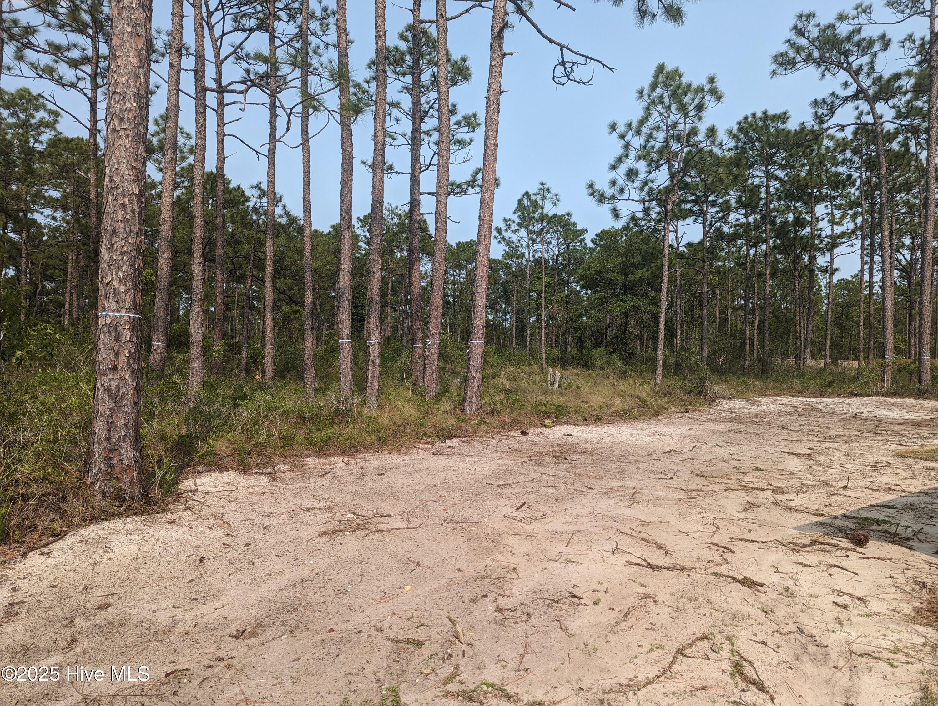 941 Downing Road Property Photo 10