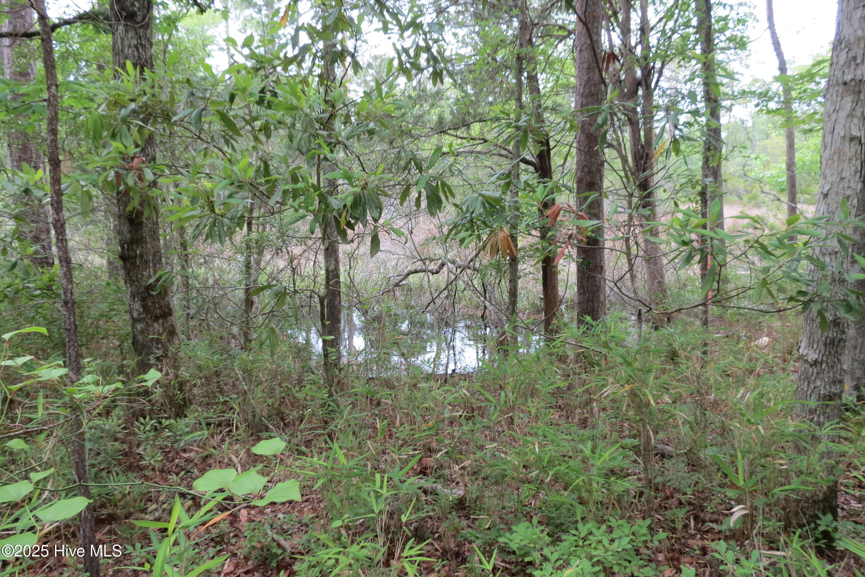117 Shoreline Court Property Photo 1