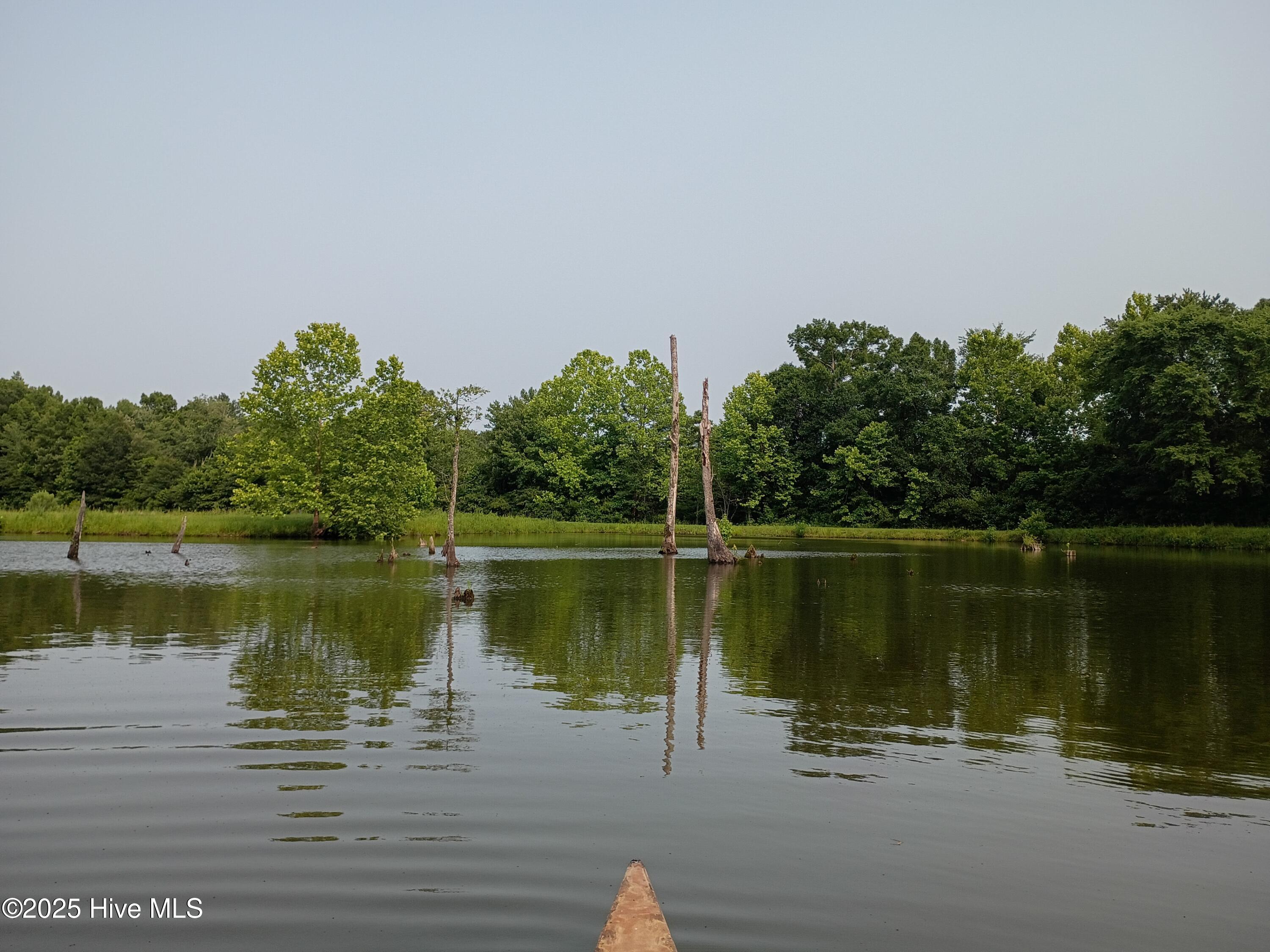 2459 Peanut Worley Road Property Photo 10