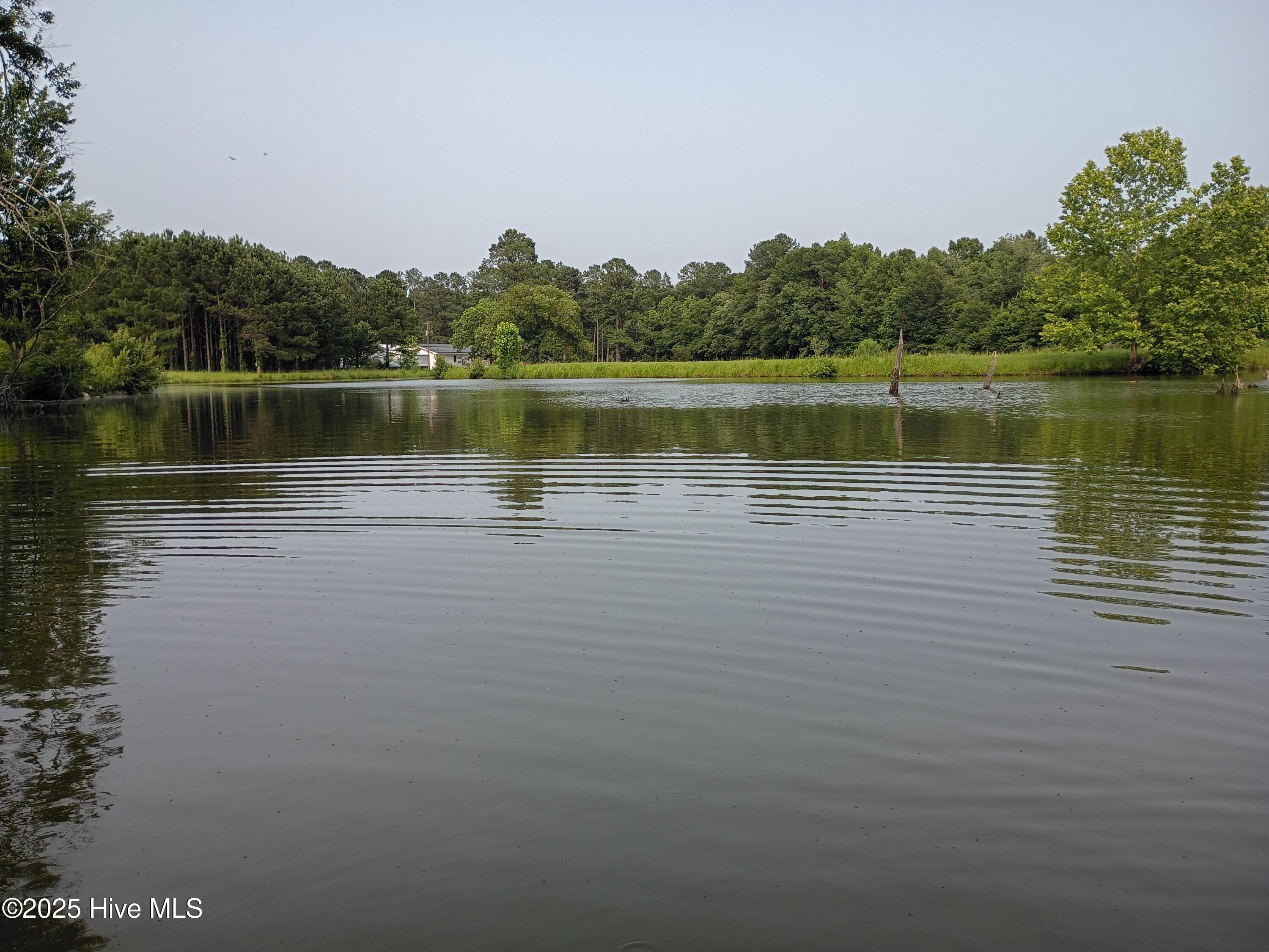 2459 Peanut Worley Road Property Photo 11