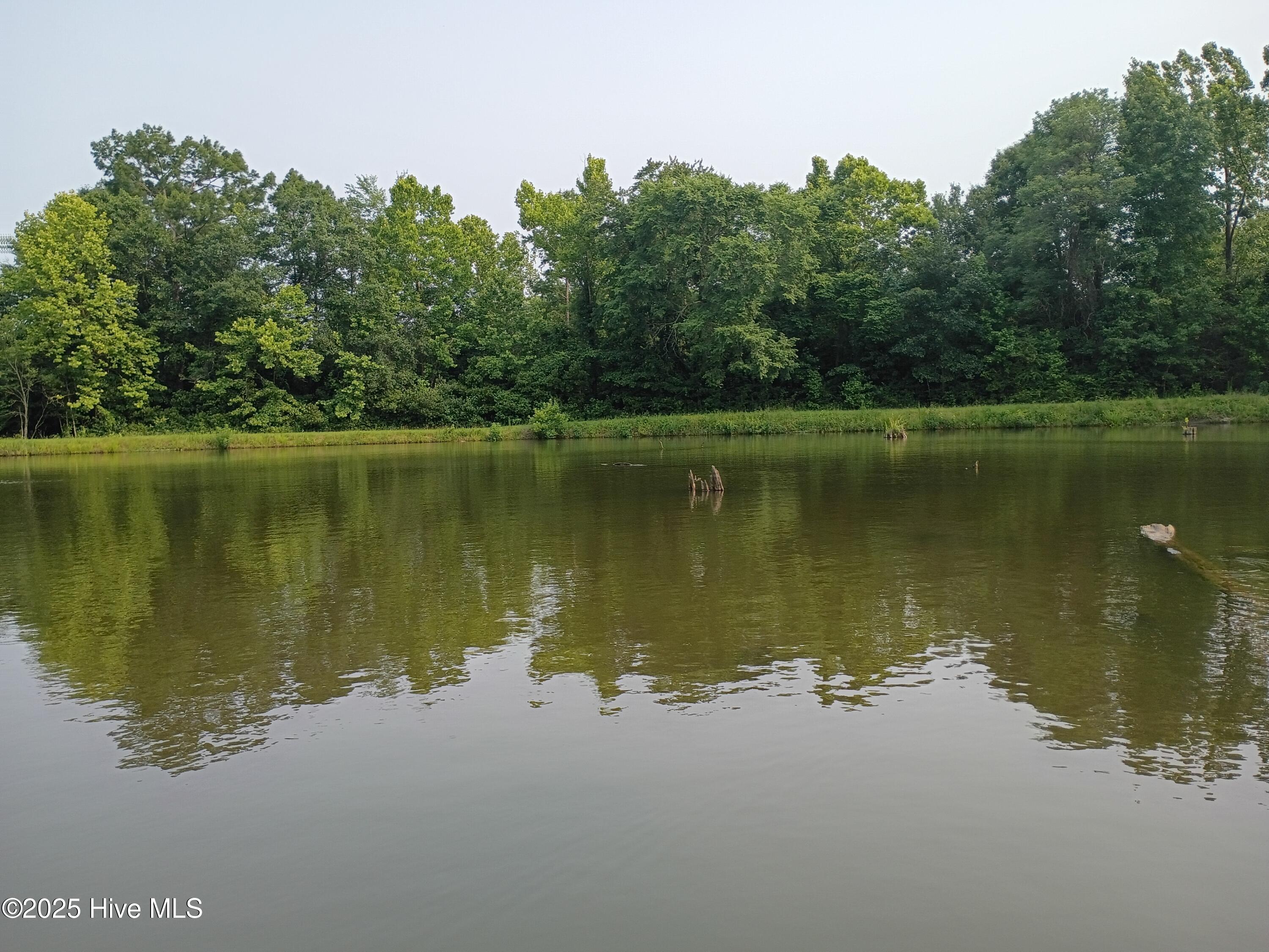 2459 Peanut Worley Road Property Photo 18