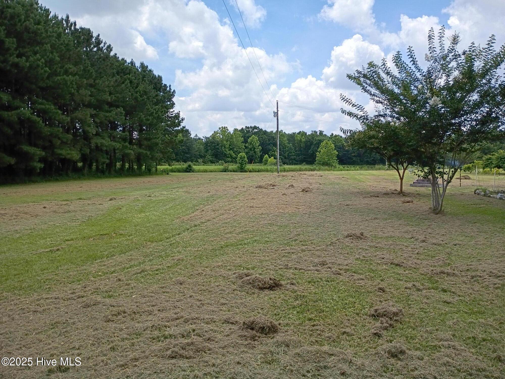 2459 Peanut Worley Road Property Photo 38