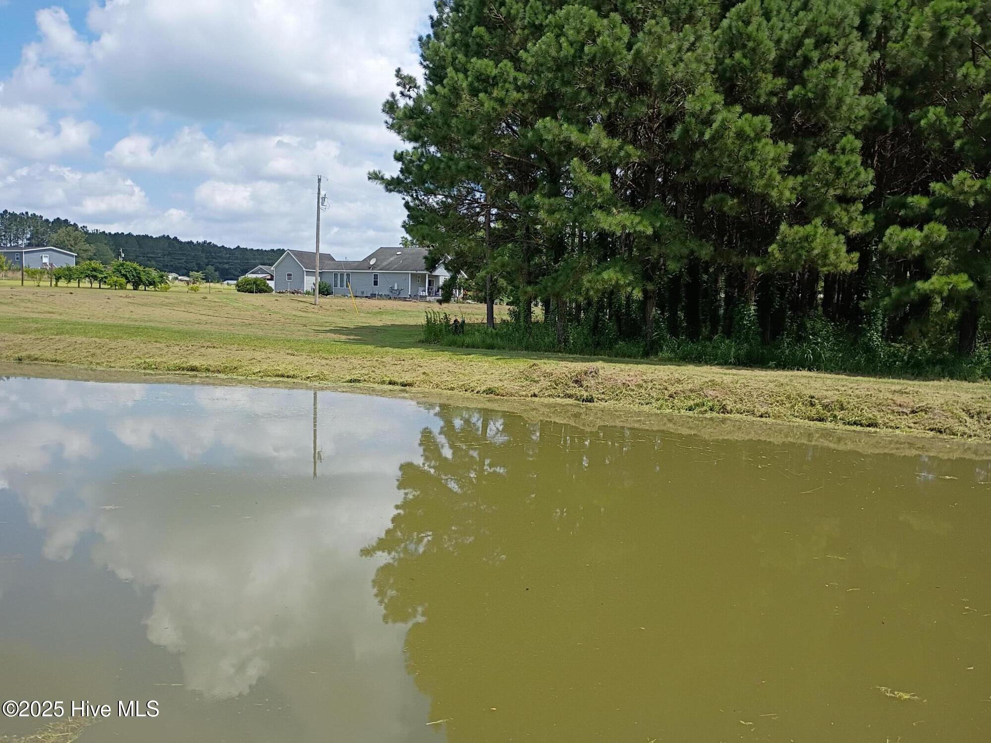 2459 Peanut Worley Road Property Photo 41