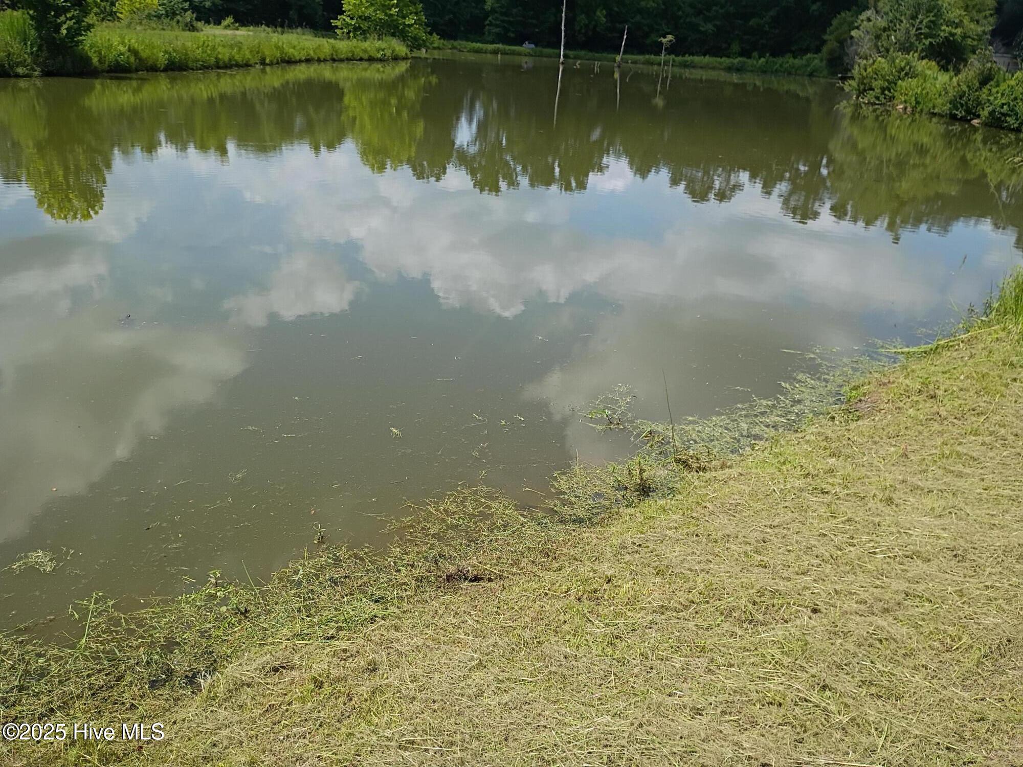 2459 Peanut Worley Road Property Photo 43