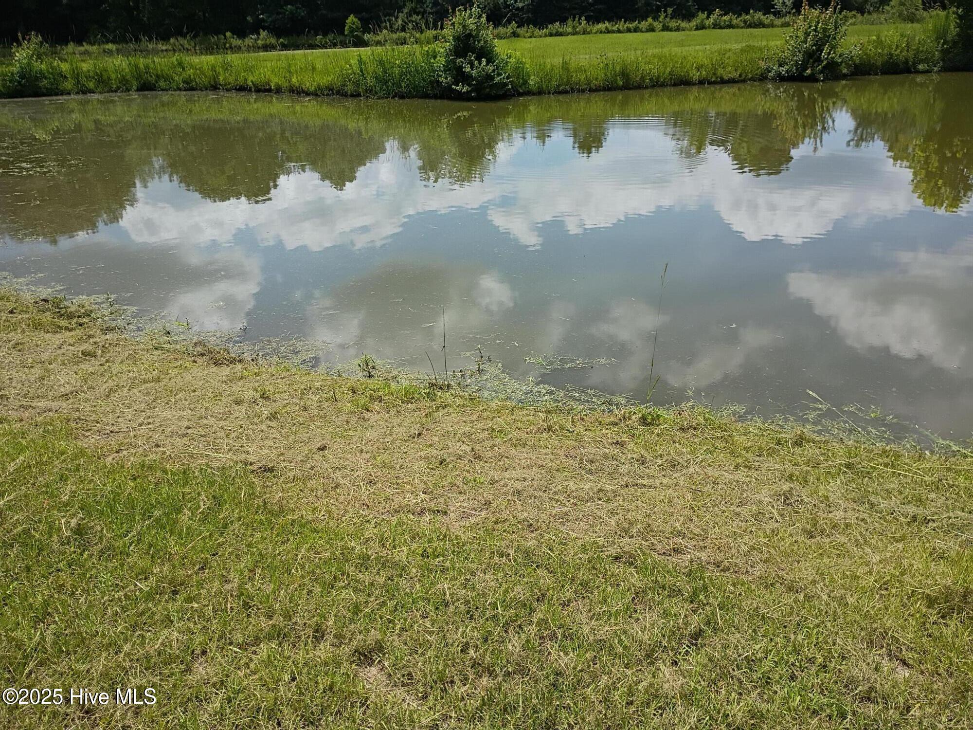 2459 Peanut Worley Road Property Photo 45