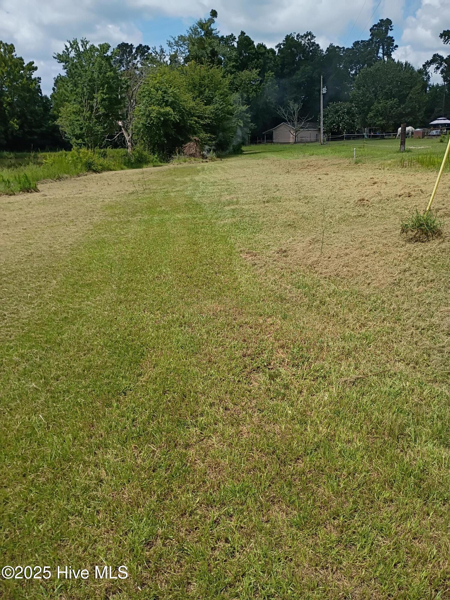 2459 Peanut Worley Road Property Photo 47