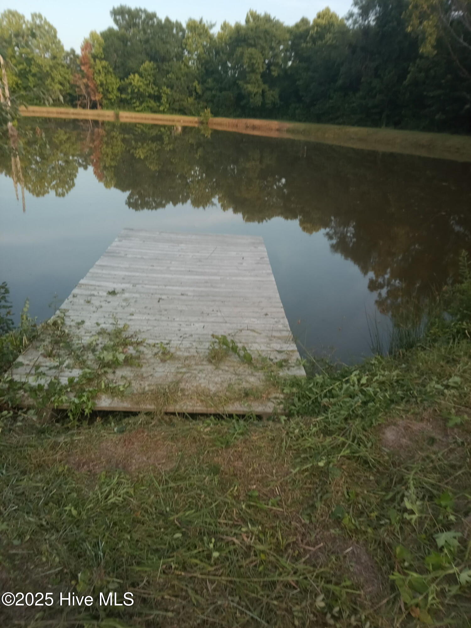 2459 Peanut Worley Road Property Photo 48