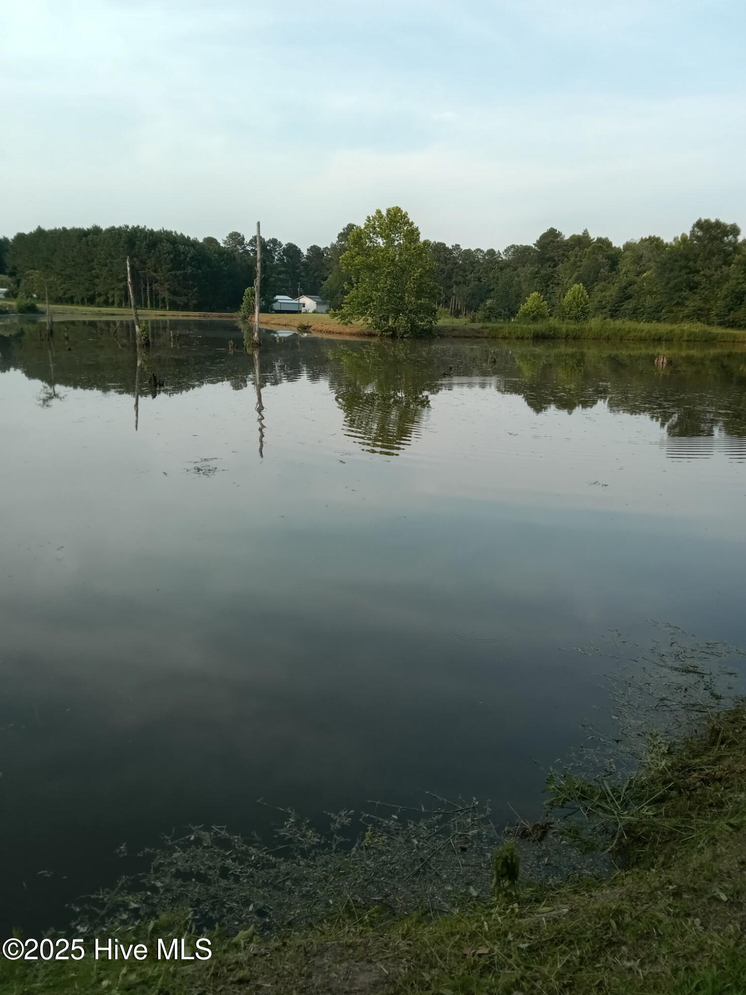 2459 Peanut Worley Road Property Photo 49