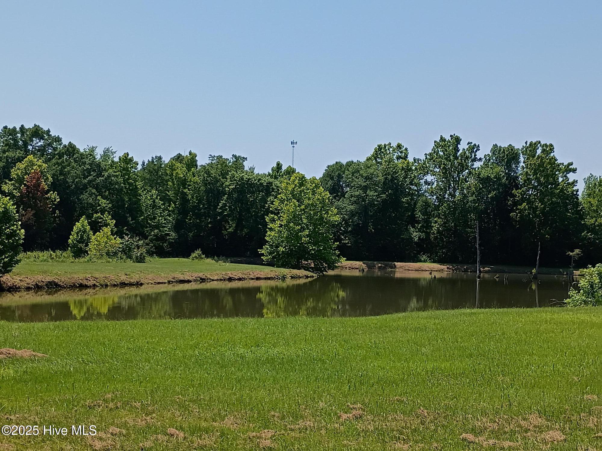 2459 Peanut Worley Road Property Photo 51