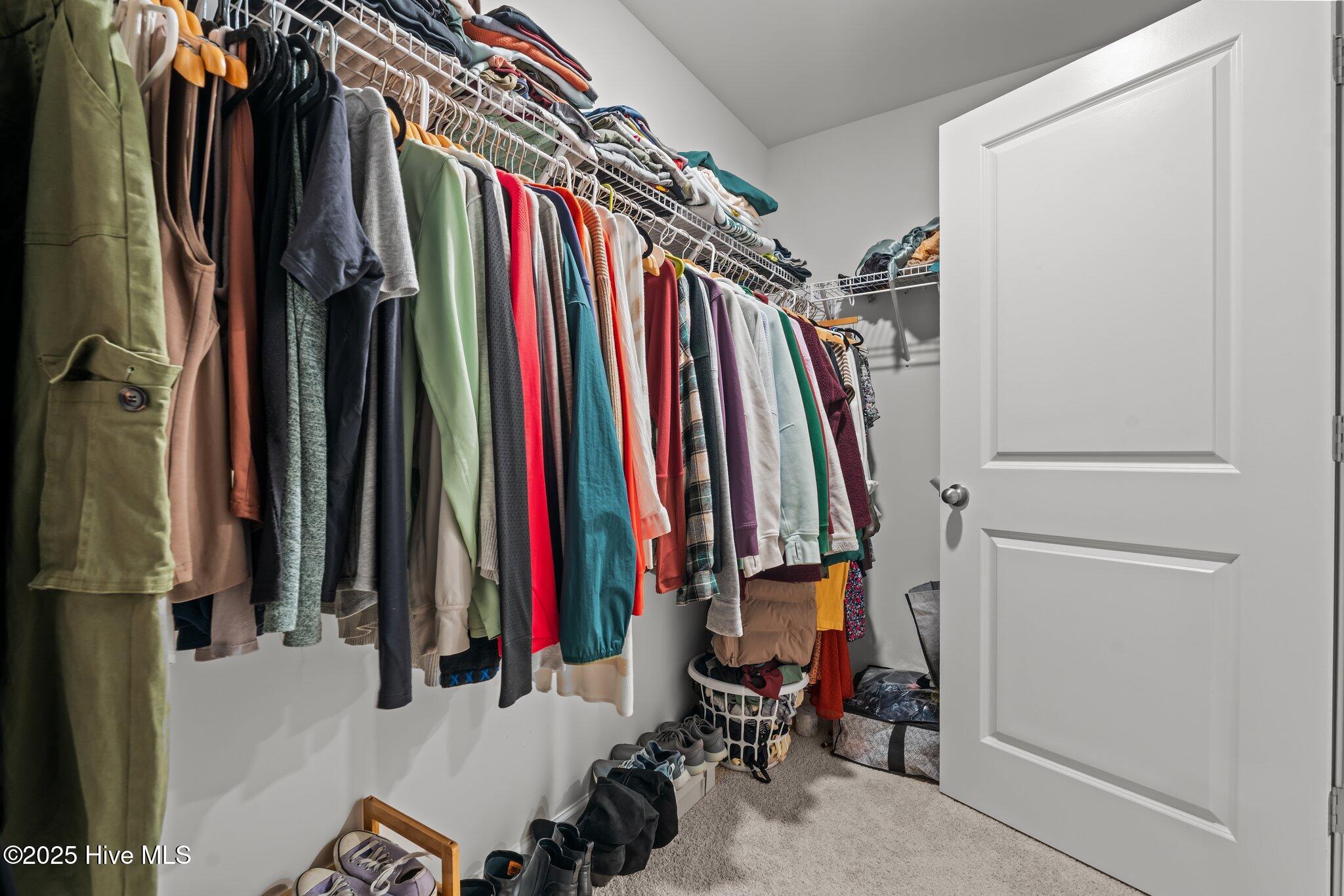 2120 Wild Ridge Drive Property Photo 18