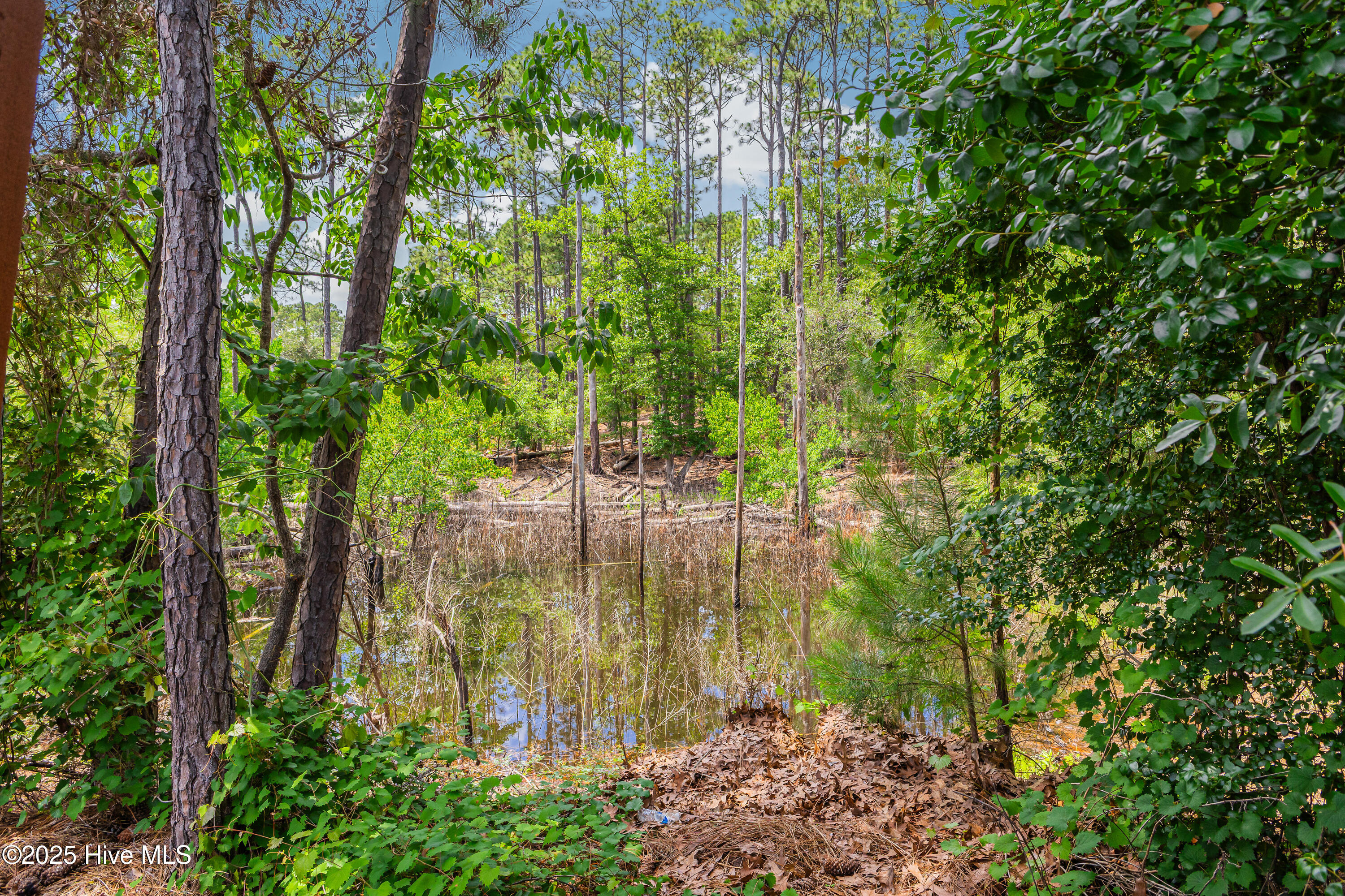 1711 Reidsville Road Property Photo 36