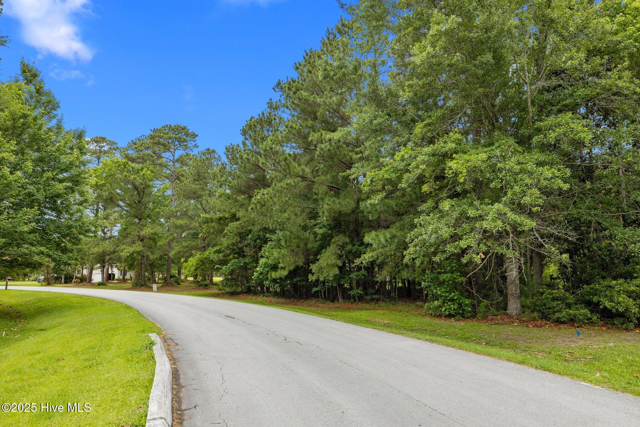 210 Winding Woods Way Property Photo 9