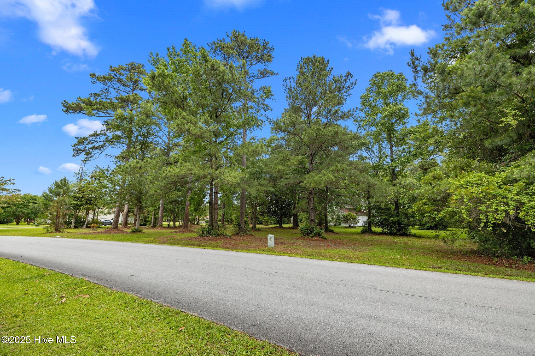 210 Winding Woods Way Property Photo 8