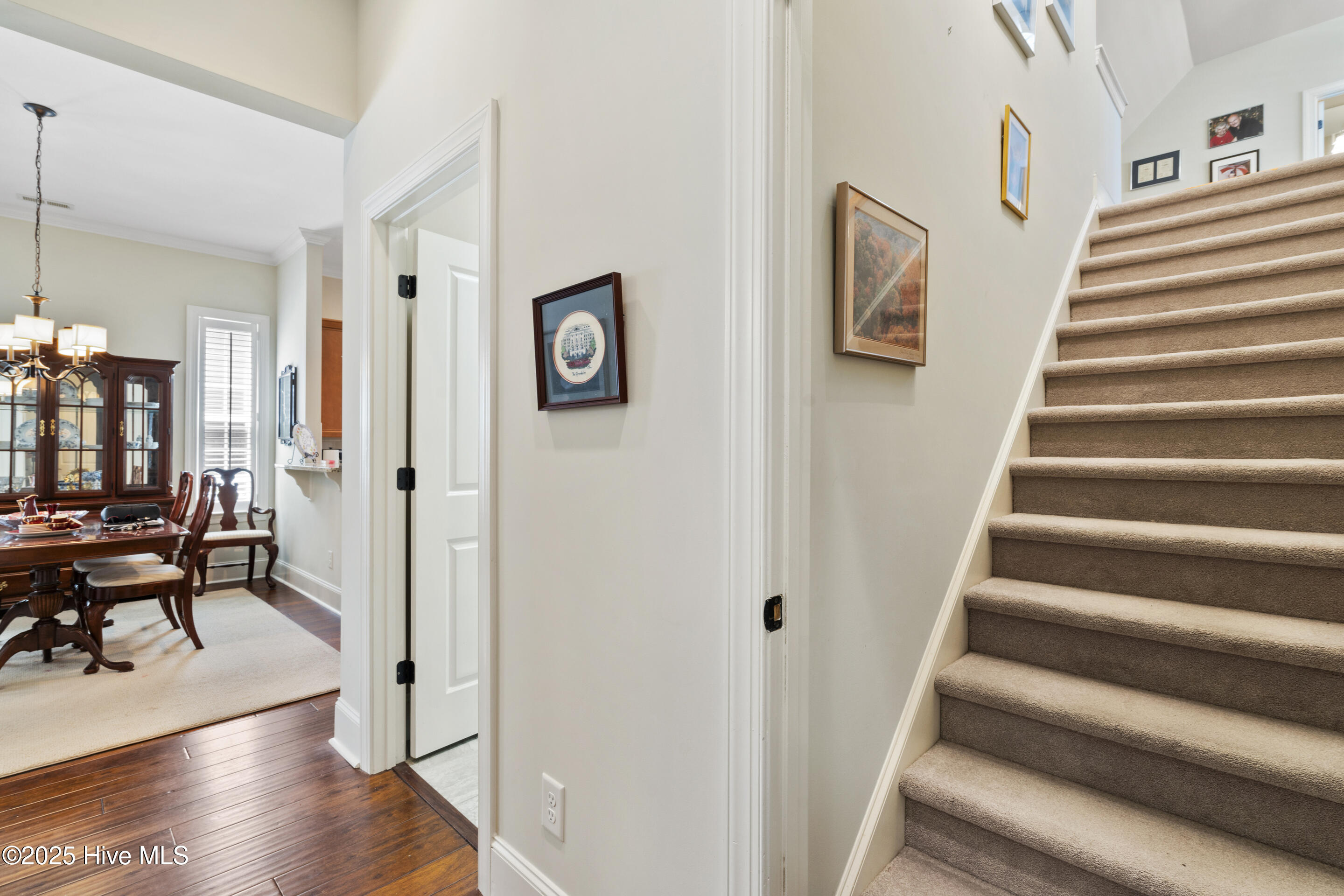 1502 Crows Landing Circle Property Photo 47