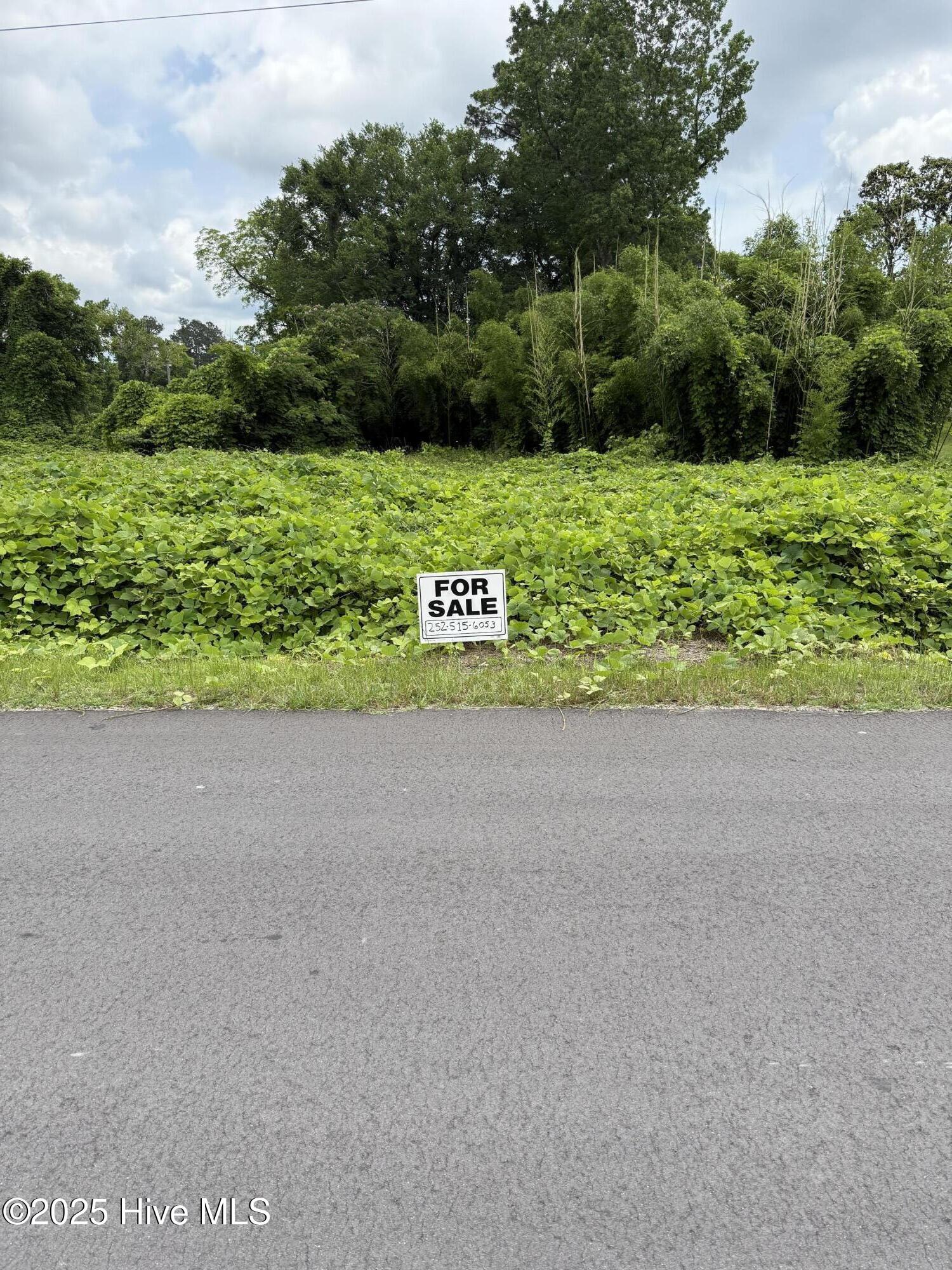 117 Jenkins Avenue Property Photo 2