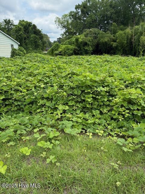 117 Jenkins Avenue Property Photo 4