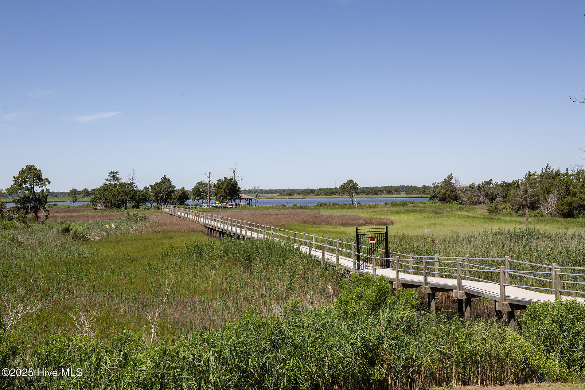 6514 Shark Tooth Trail Property Photo 33