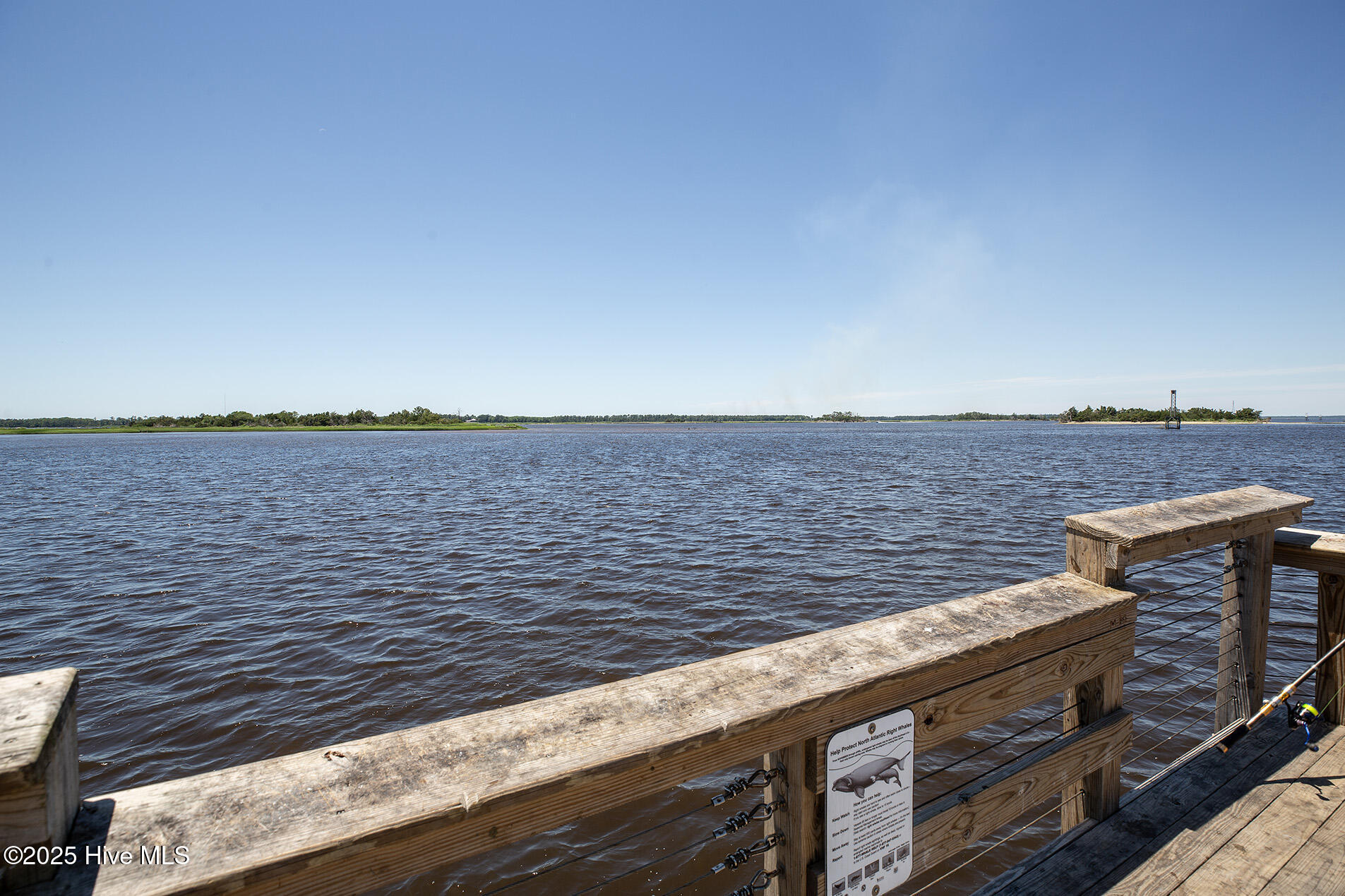 6514 Shark Tooth Trail Property Photo 50