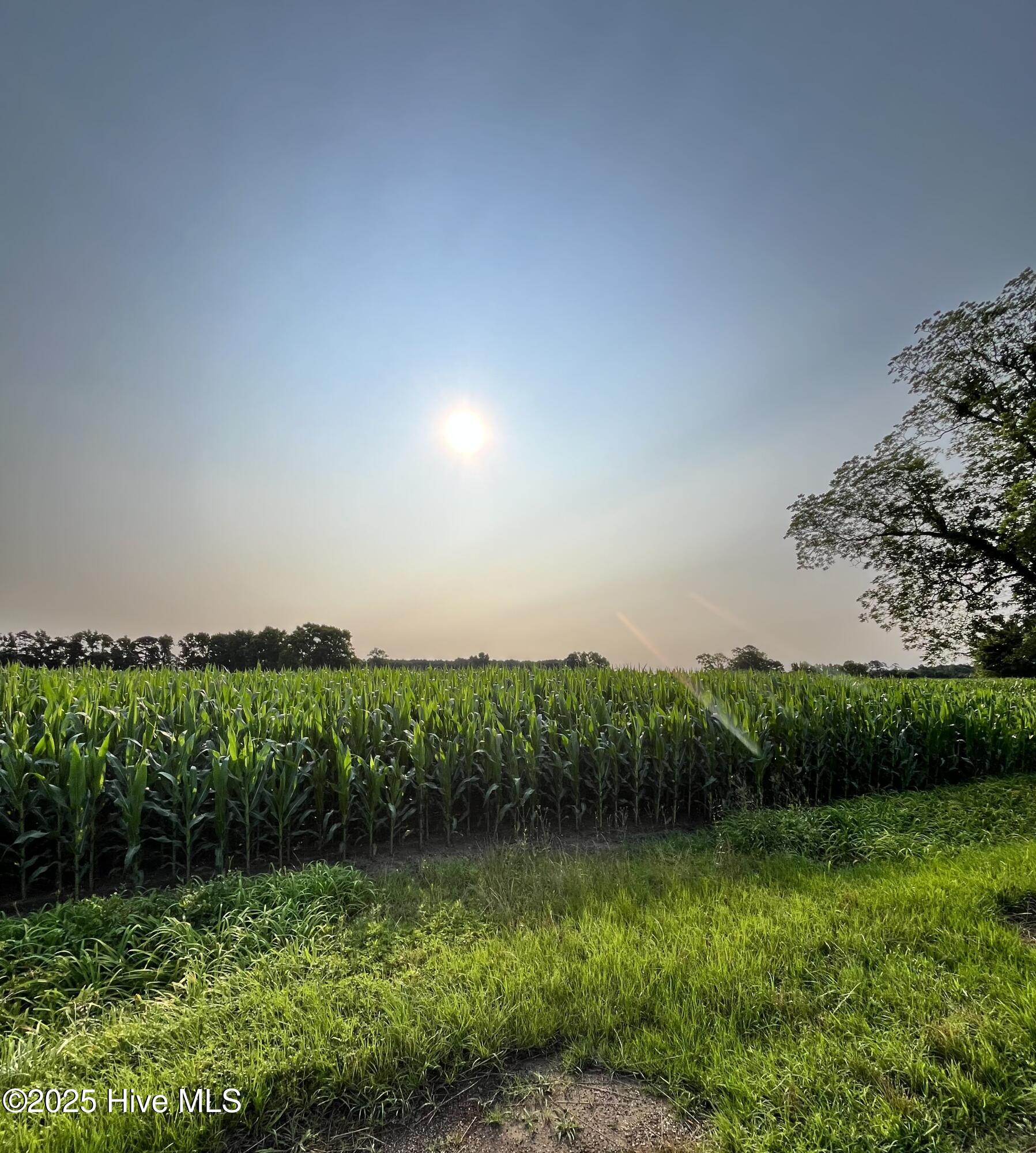 0 Hobbton Highway Property Photo 3