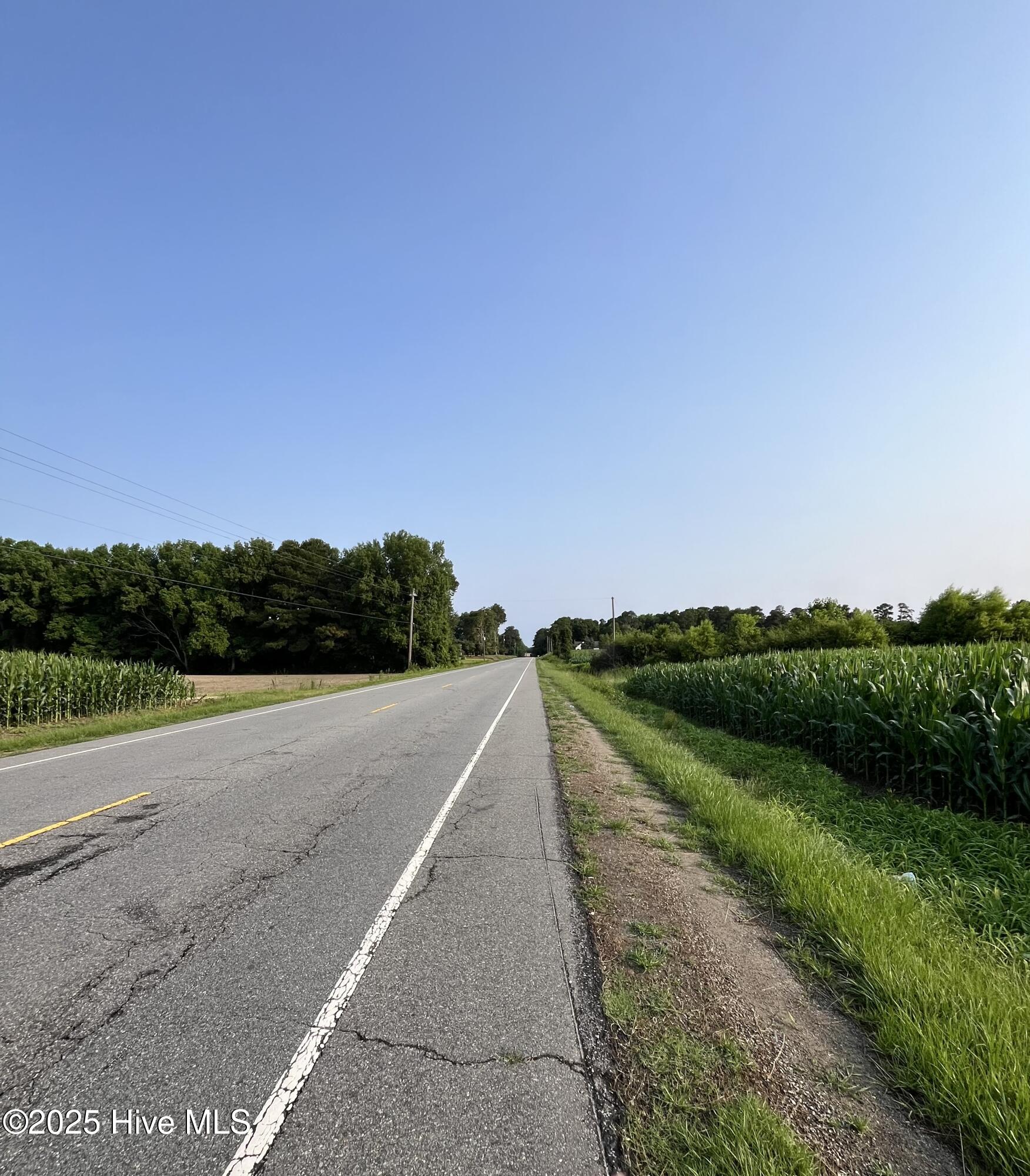 0 Hobbton Highway Property Photo 4