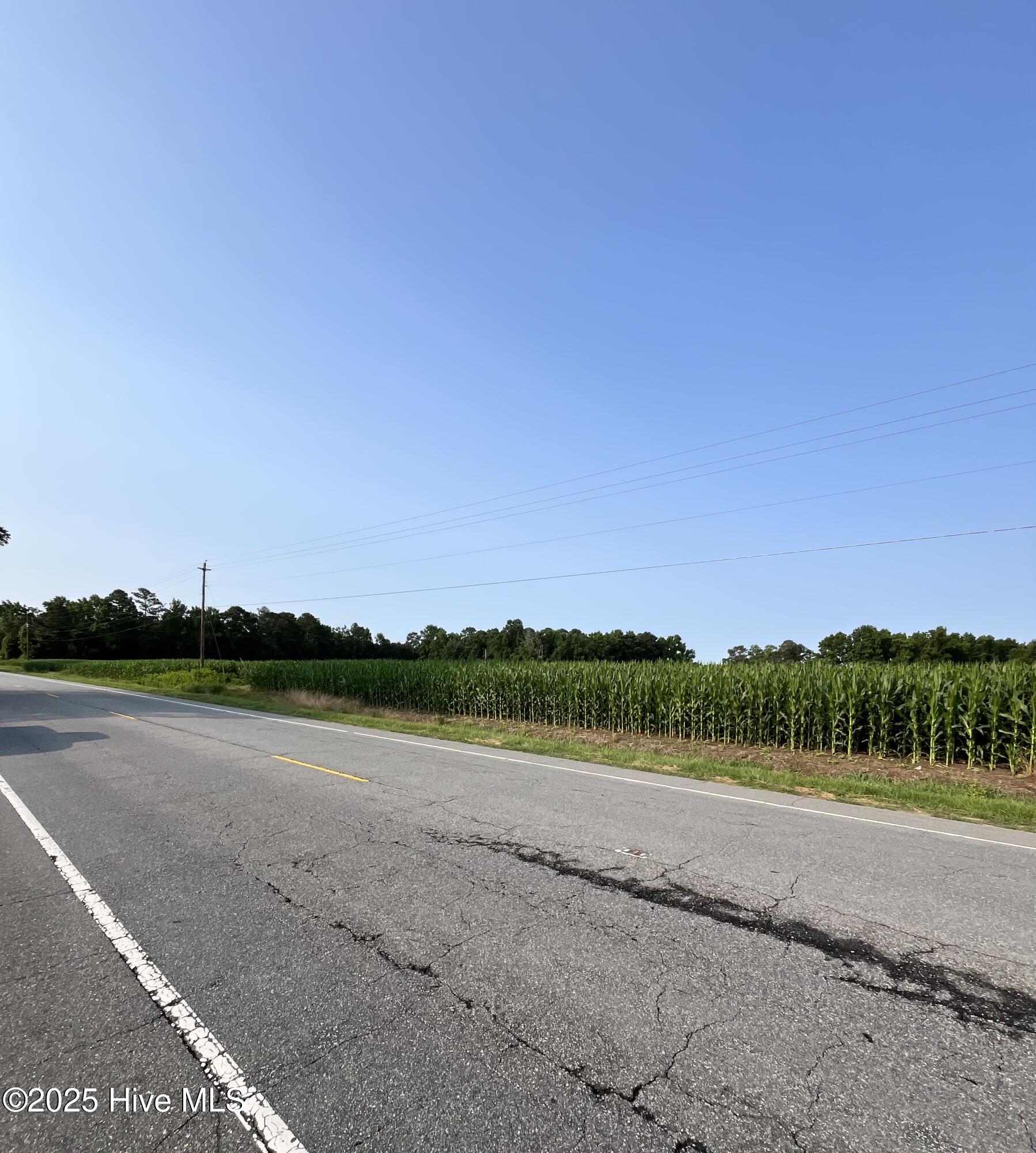 0 Hobbton Highway Property Photo 5