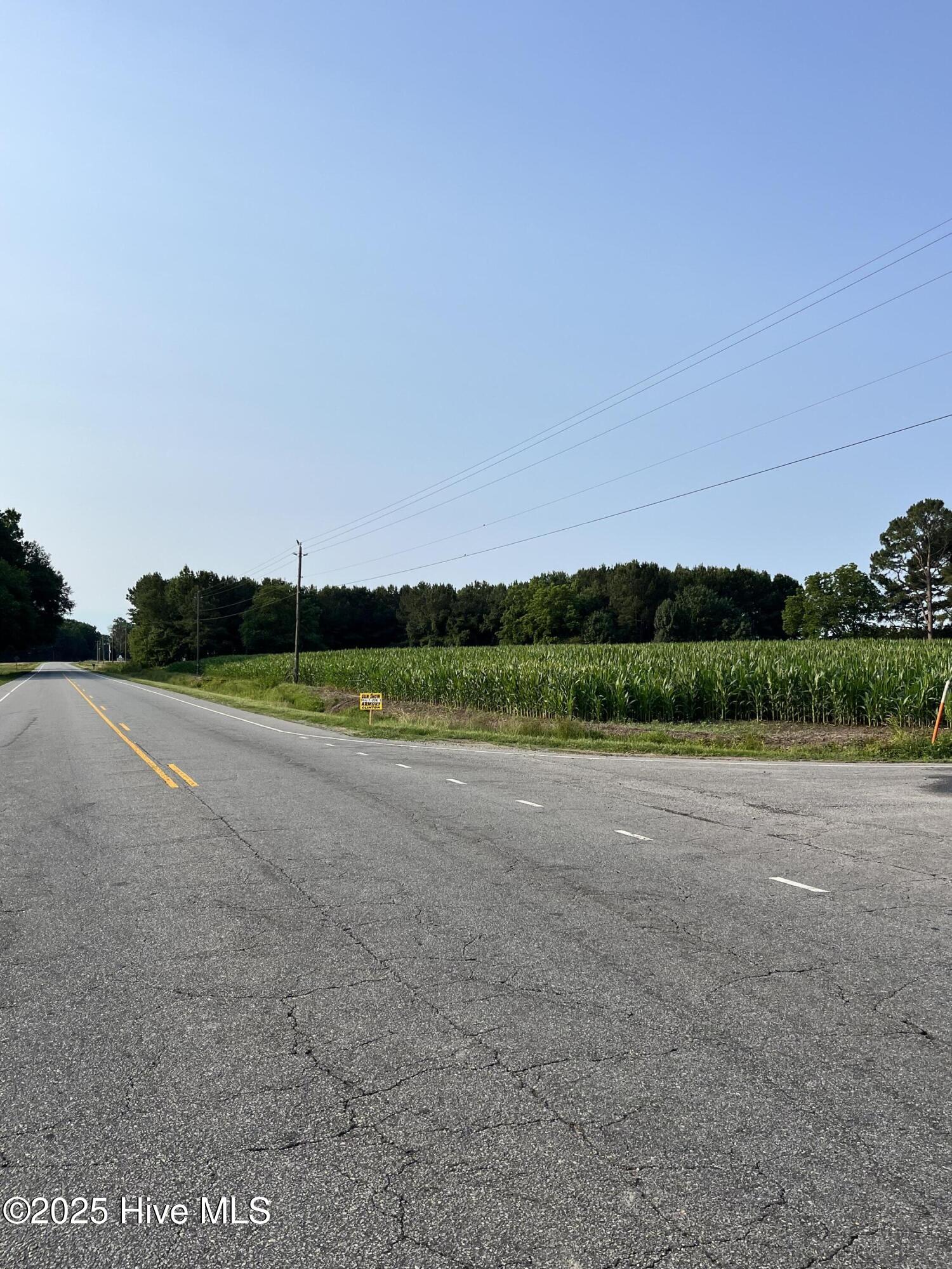 0 Hobbton Highway Property Photo 6