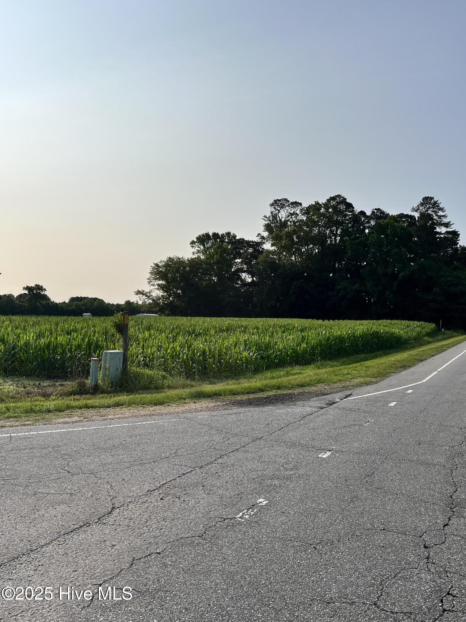 0 Hobbton Highway Property Photo 7