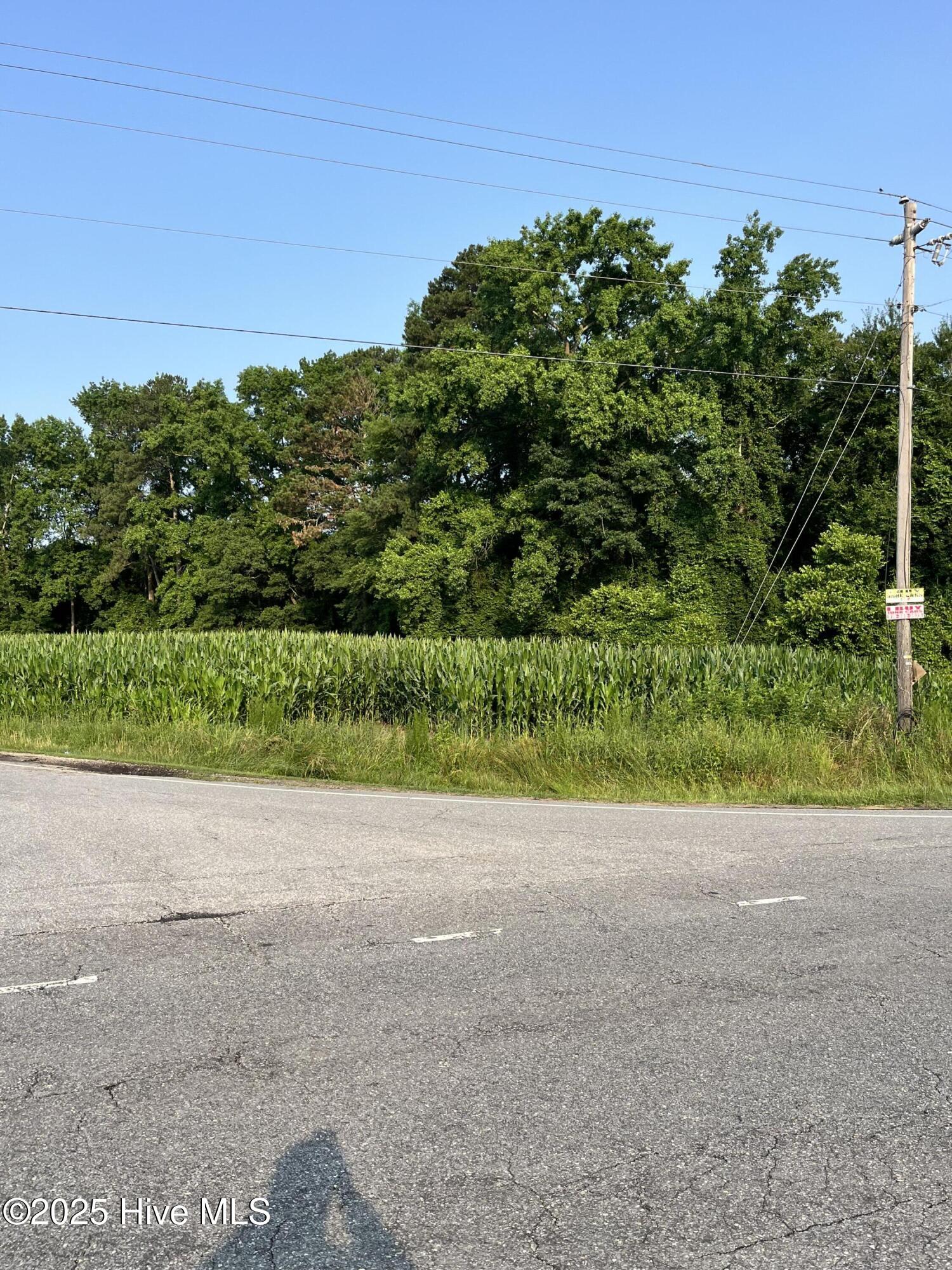 0 Hobbton Highway Property Photo 8