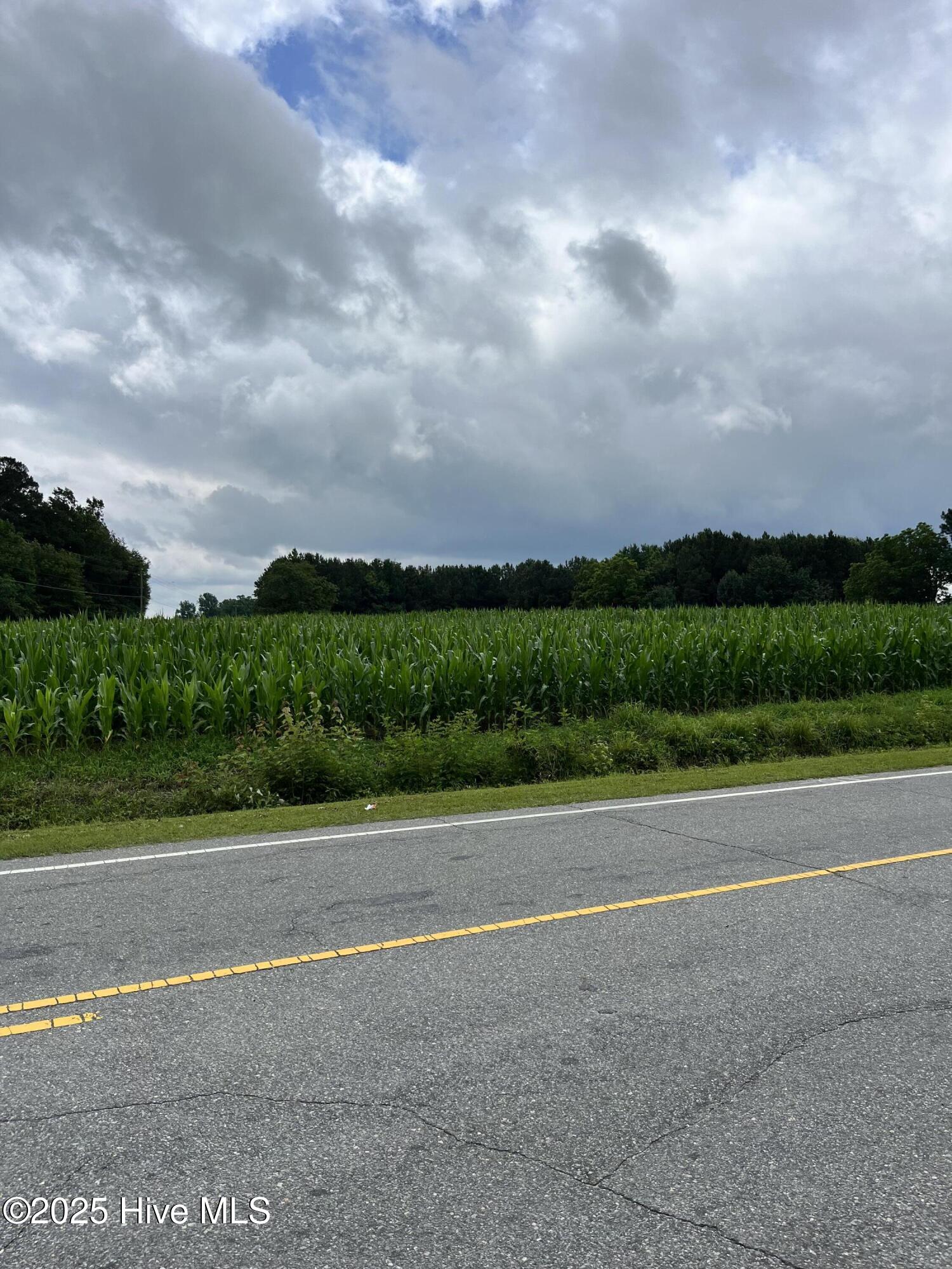 0 Hobbton Highway Property Photo 10