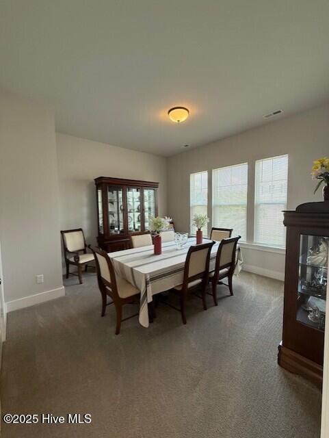 203 Farmstead Loop Property Photo 8