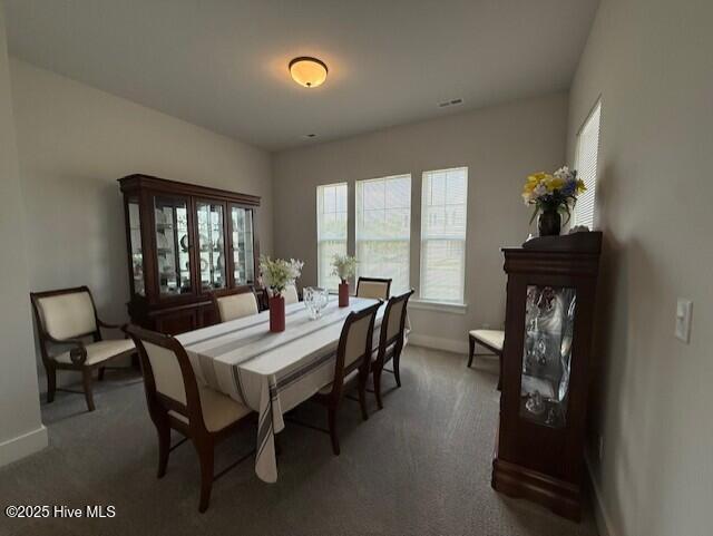 203 Farmstead Loop Property Photo 9
