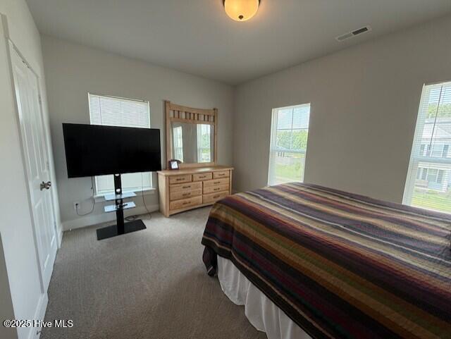 203 Farmstead Loop Property Photo 54