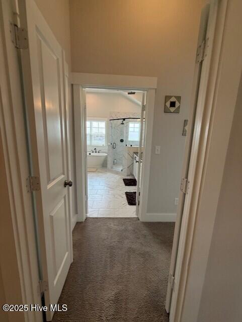 203 Farmstead Loop Property Photo 60