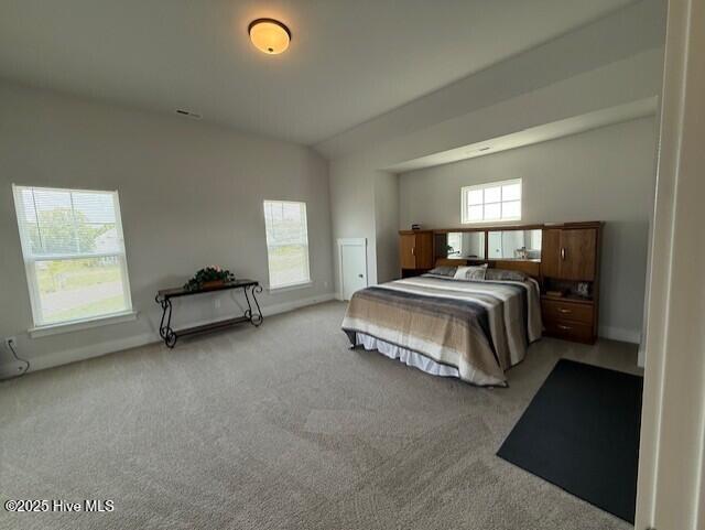 203 Farmstead Loop Property Photo 74