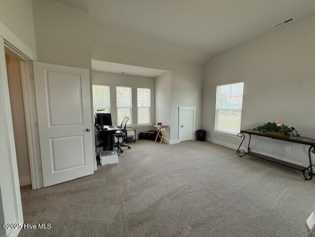203 Farmstead Loop Property Photo 75
