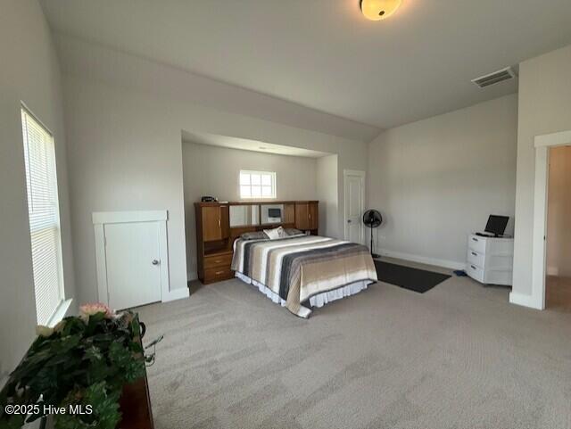 203 Farmstead Loop Property Photo 79