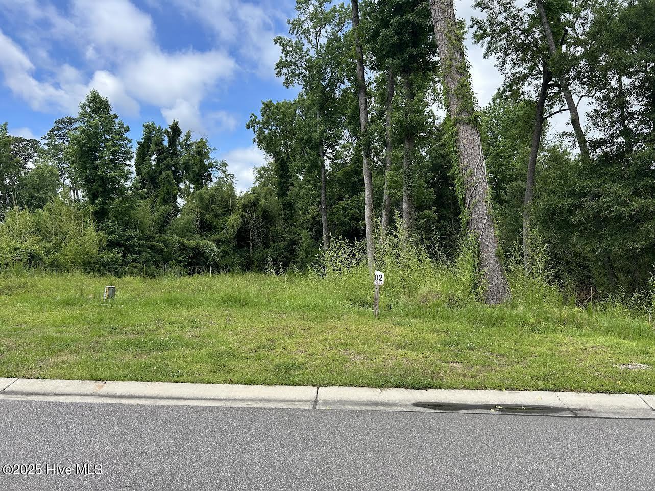 208 Preservation Pt Avenue Property Photo 1