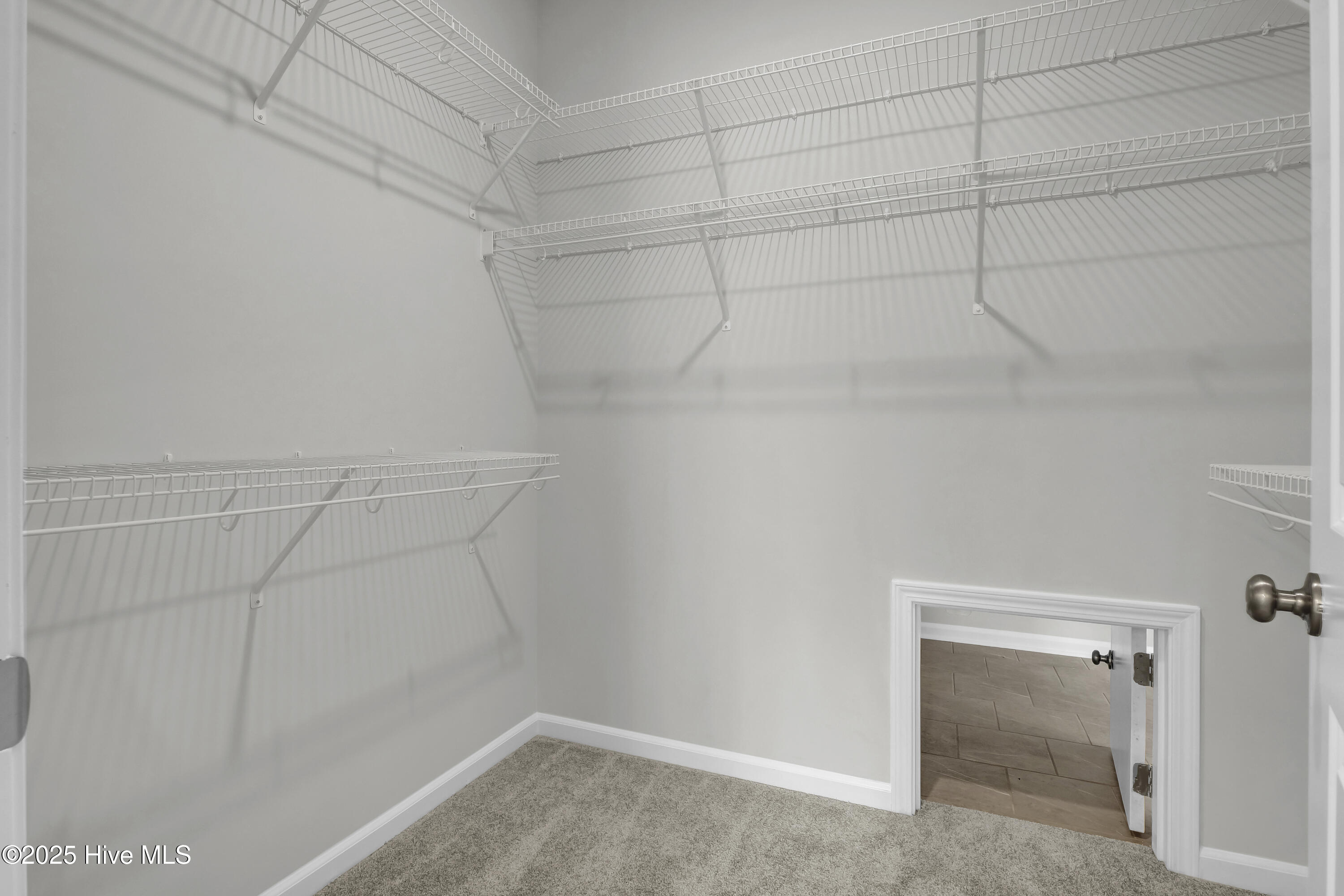 2209 Star Shower Way Lot 112 Property Photo 17