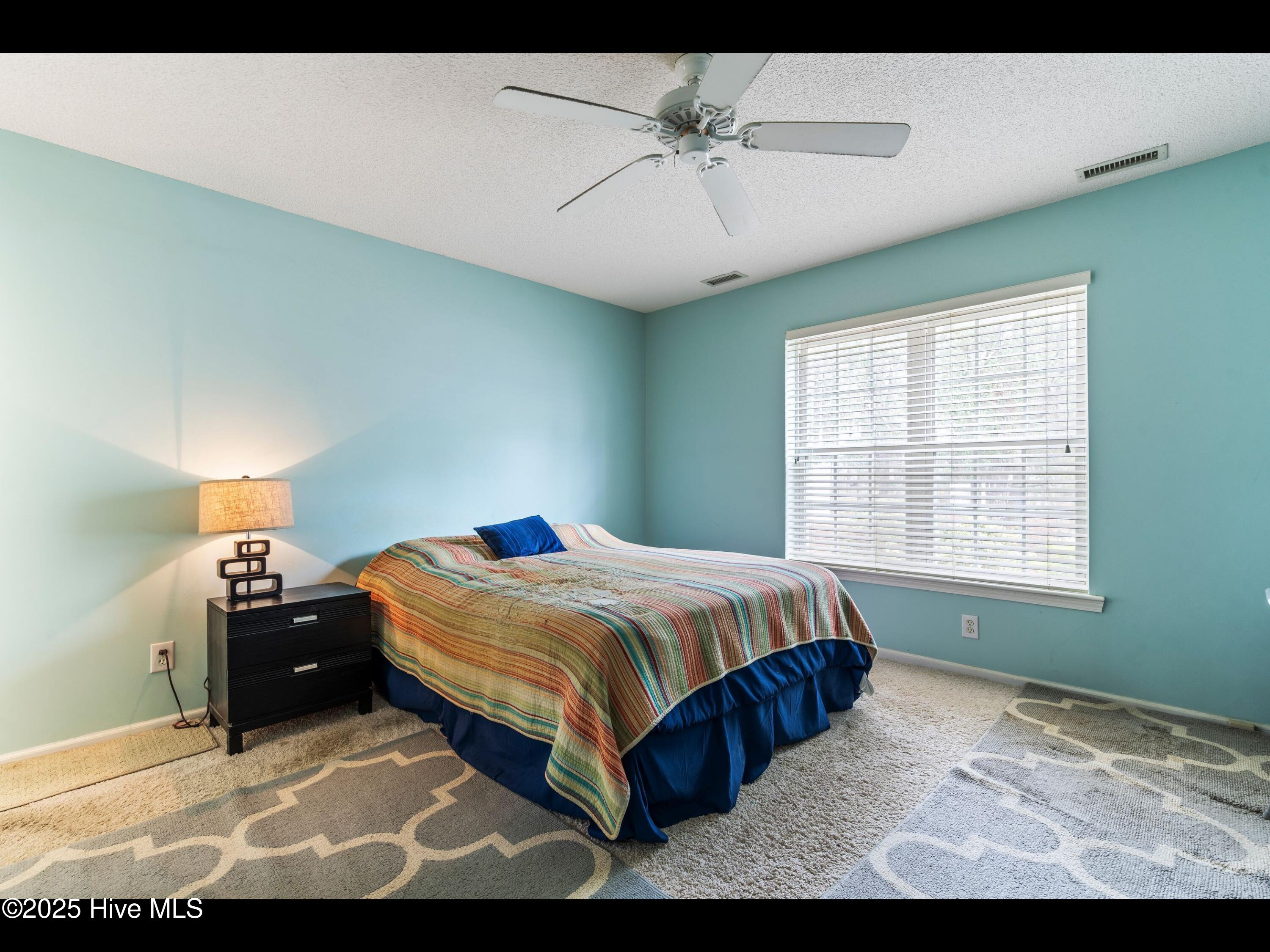 4043 Brick Path Lane Property Photo 17