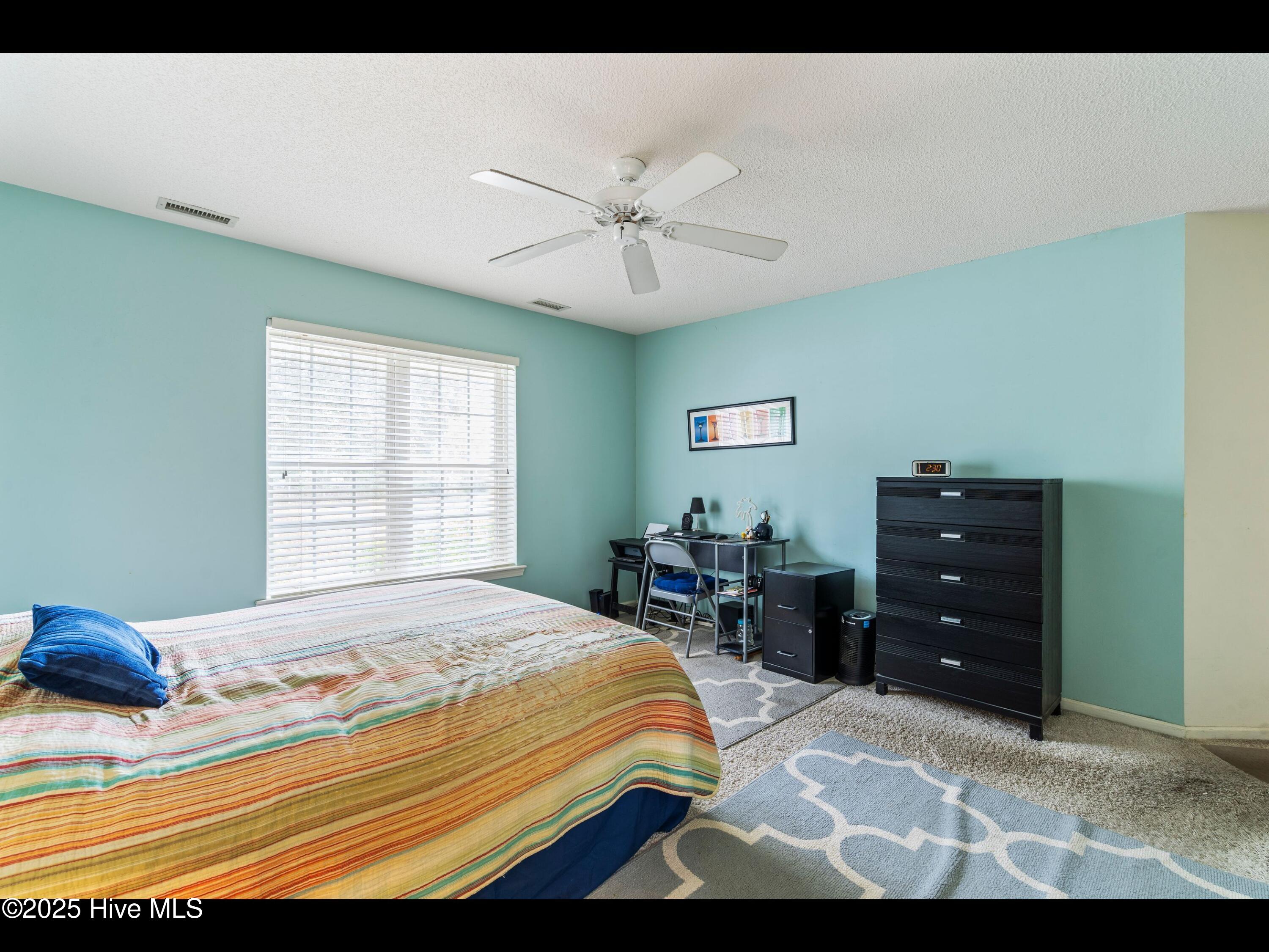 4043 Brick Path Lane Property Photo 20