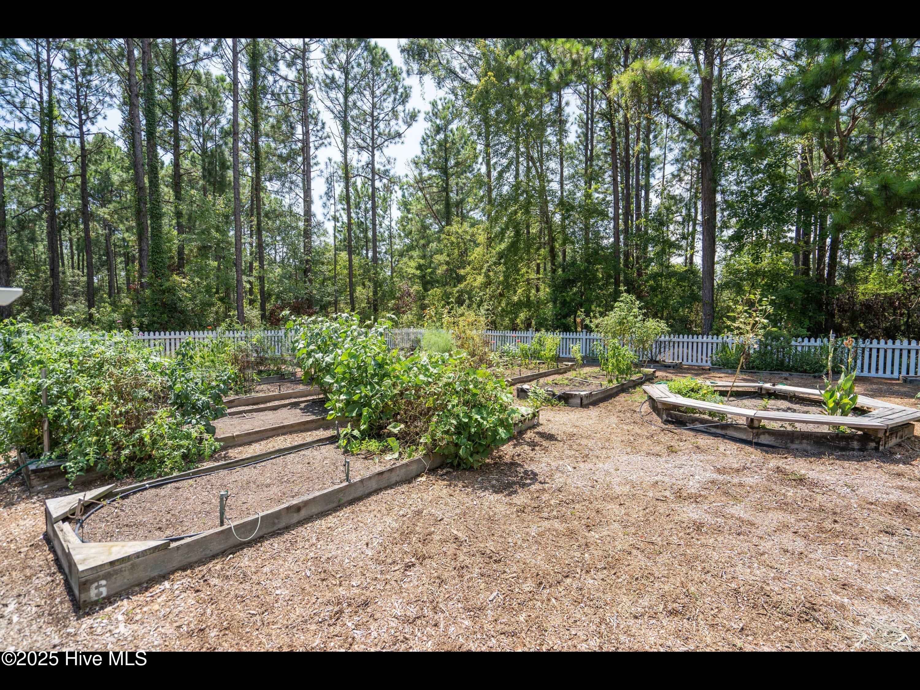 4043 Brick Path Lane Property Photo 45
